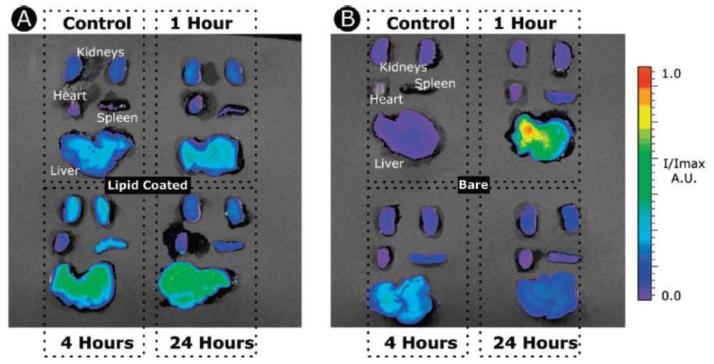 Inorganic-Organic Hybrid Nanomaterials for Therapeutic and