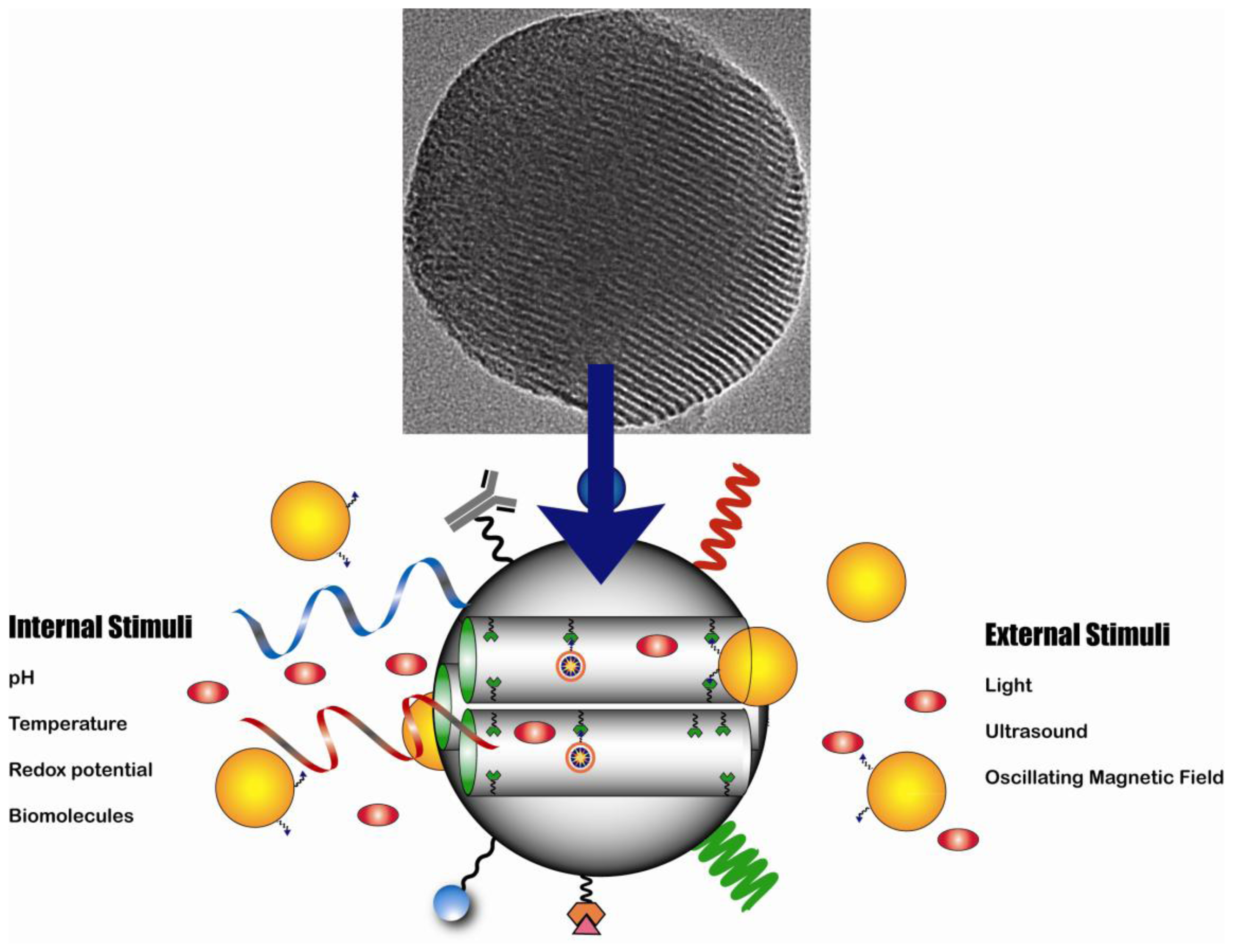 Ijms 12 03888f3 1024