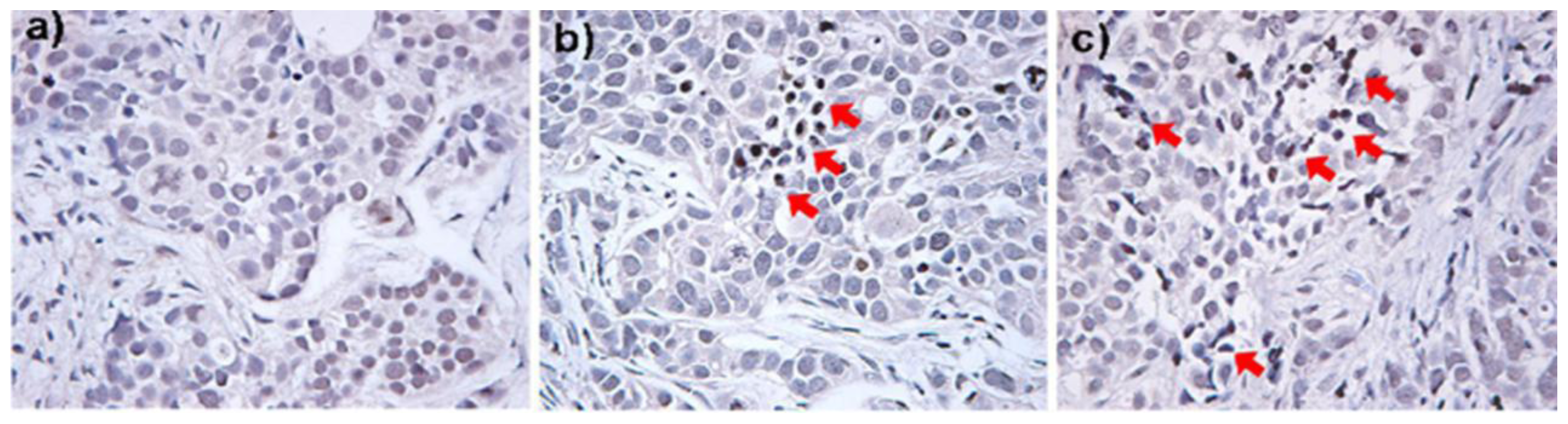 Ijms 12 03888f5 1024