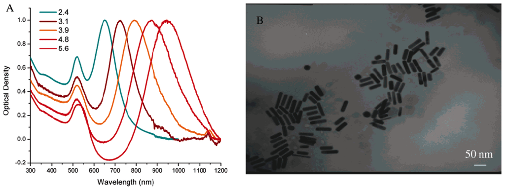 Experimental and Theoretical Studies of Light-to-Heat