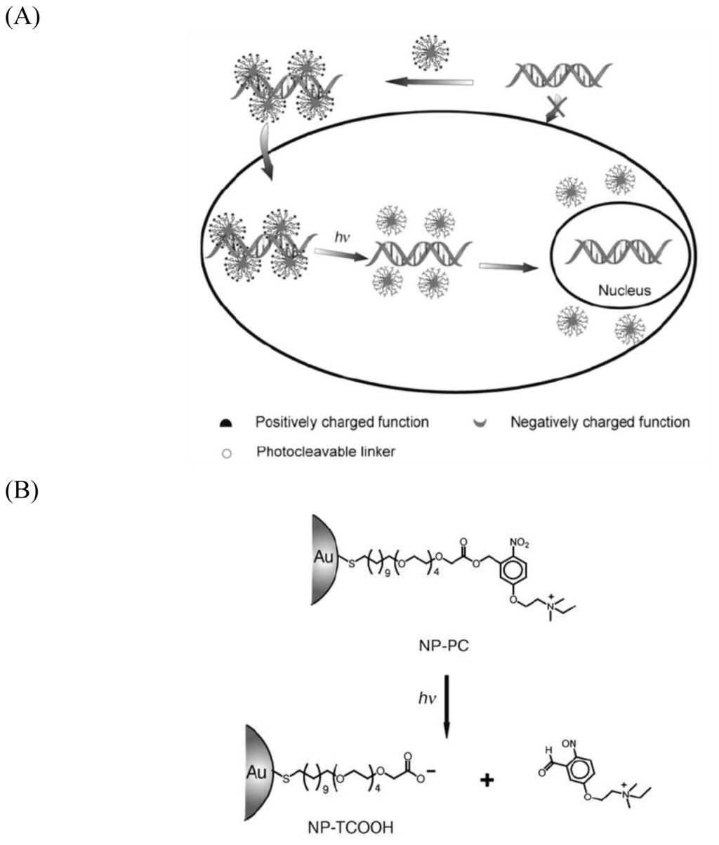 Inorganic-Organic Hybrid Nanomaterials for Therapeutic and