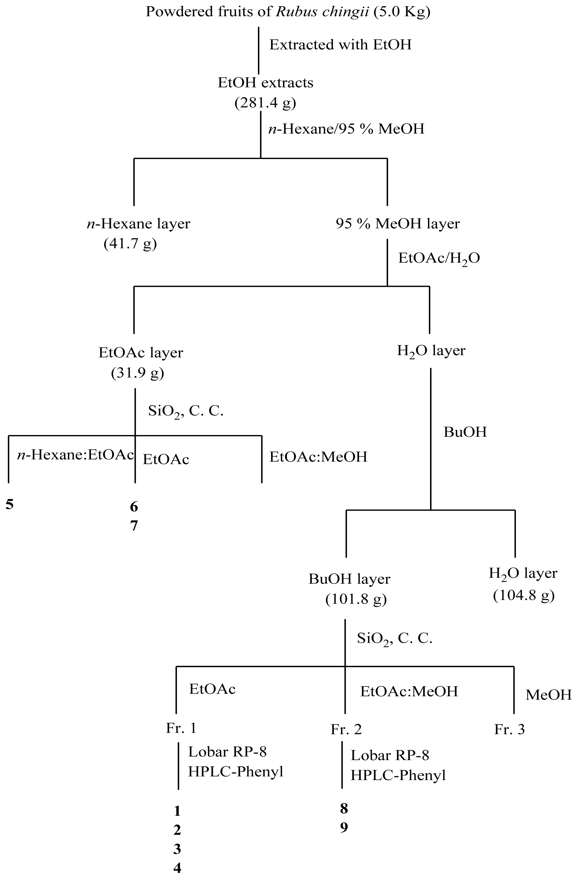 Ijms 12 03941f1 1024