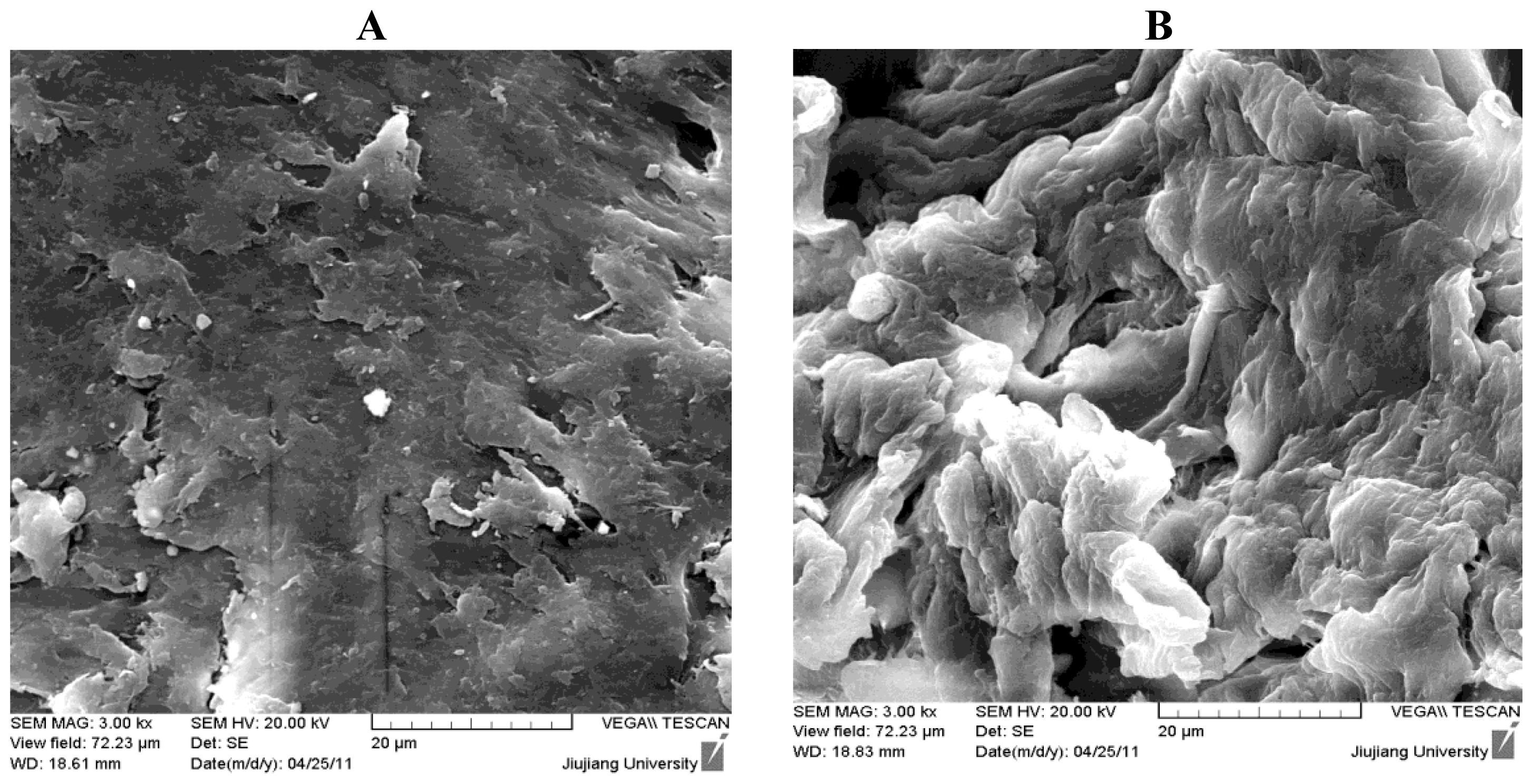 Ijms 12 04009f2 1024