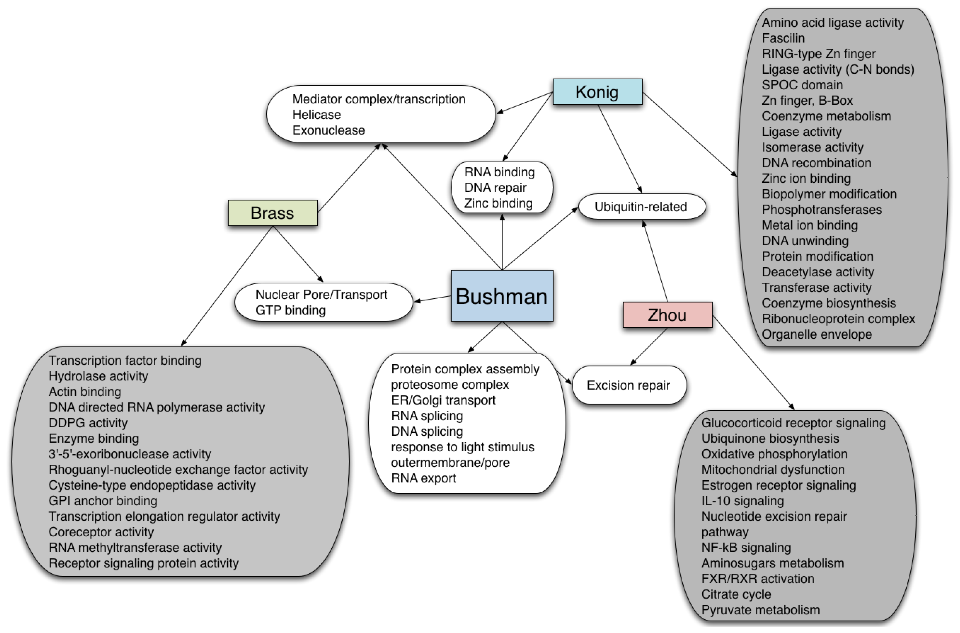 Ijms 12 04027f5 1024