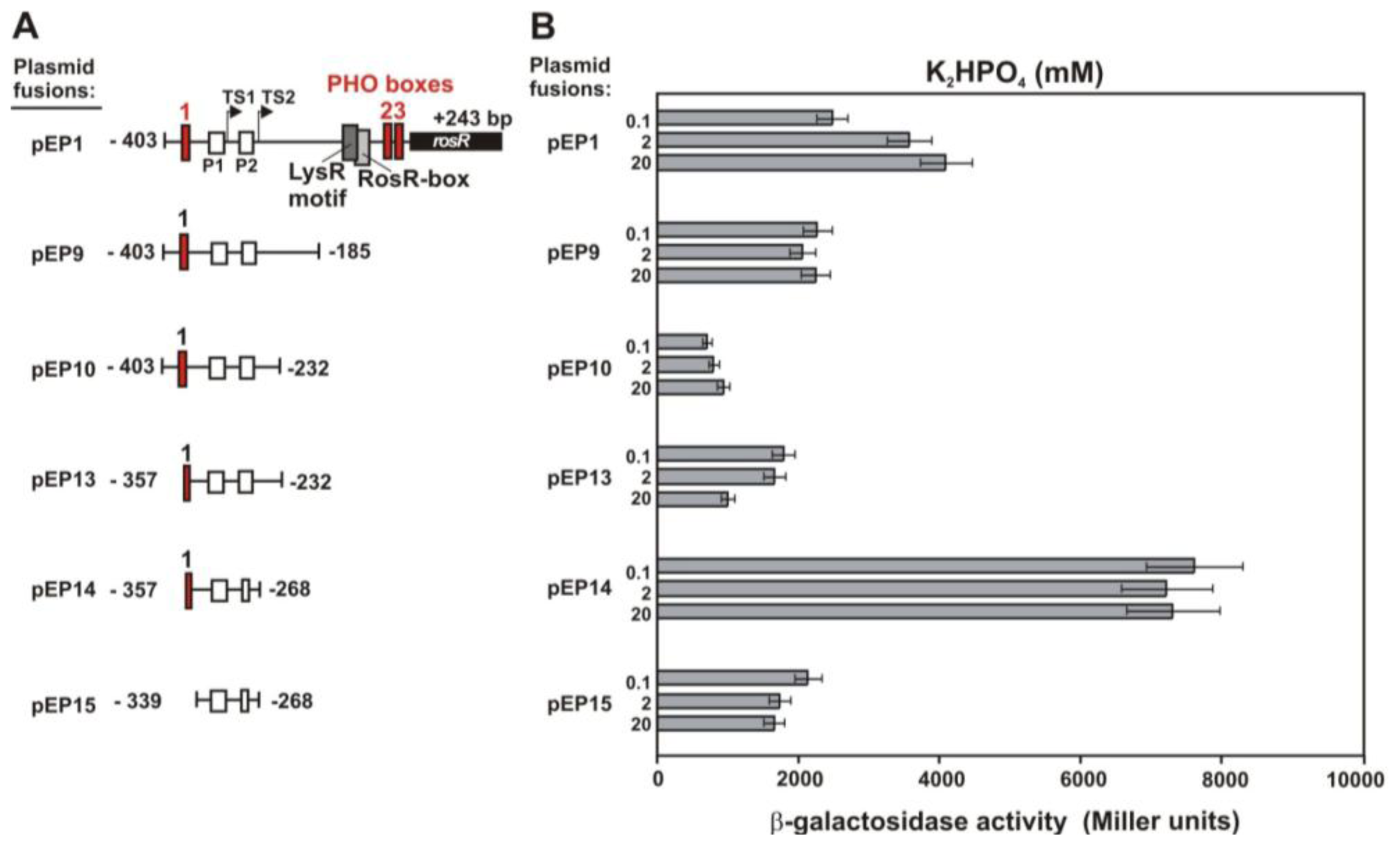 Ijms 12 04132f4 1024