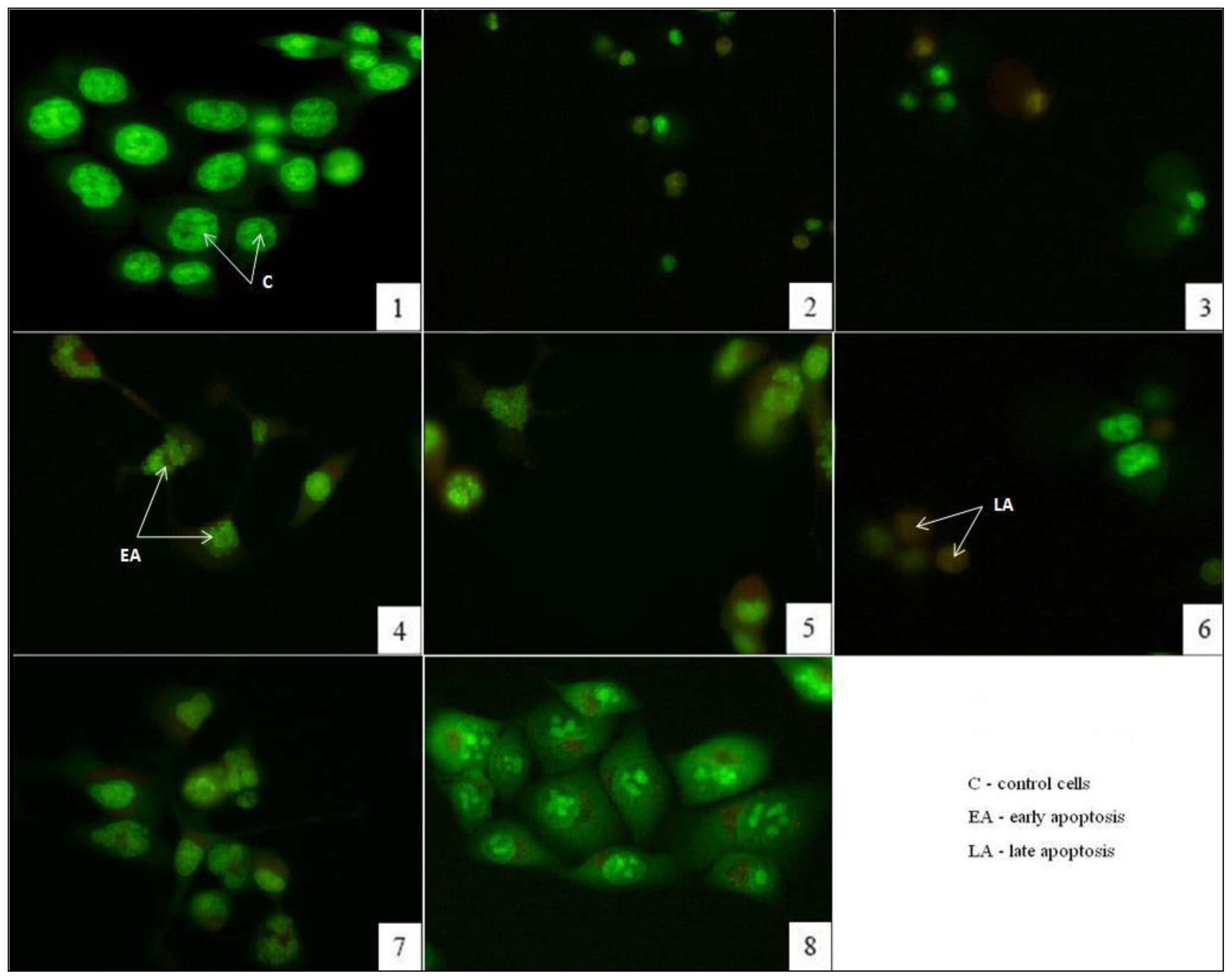 Ijms 12 04190f2 1024