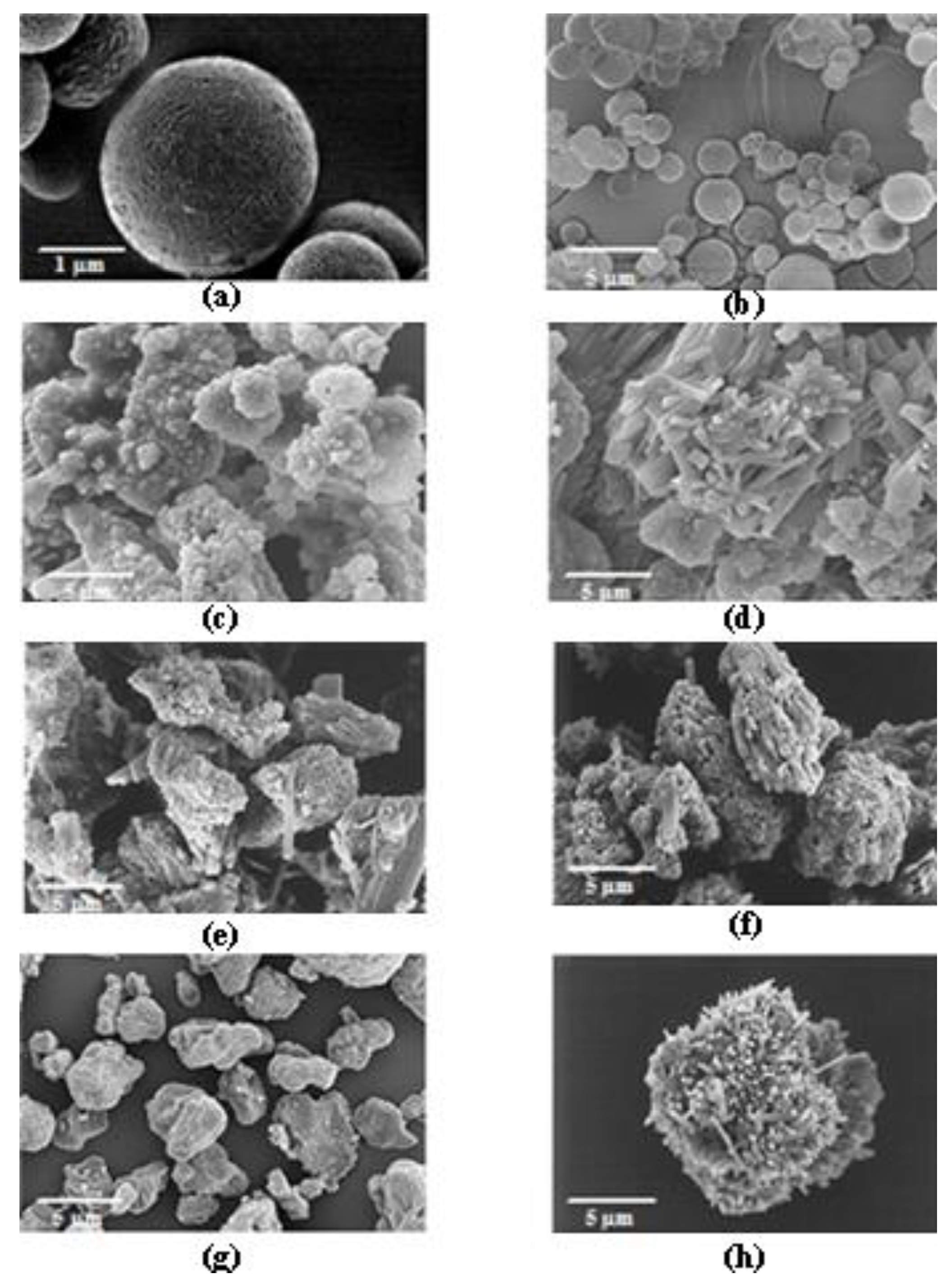 Ijms 12 04414f1 1024