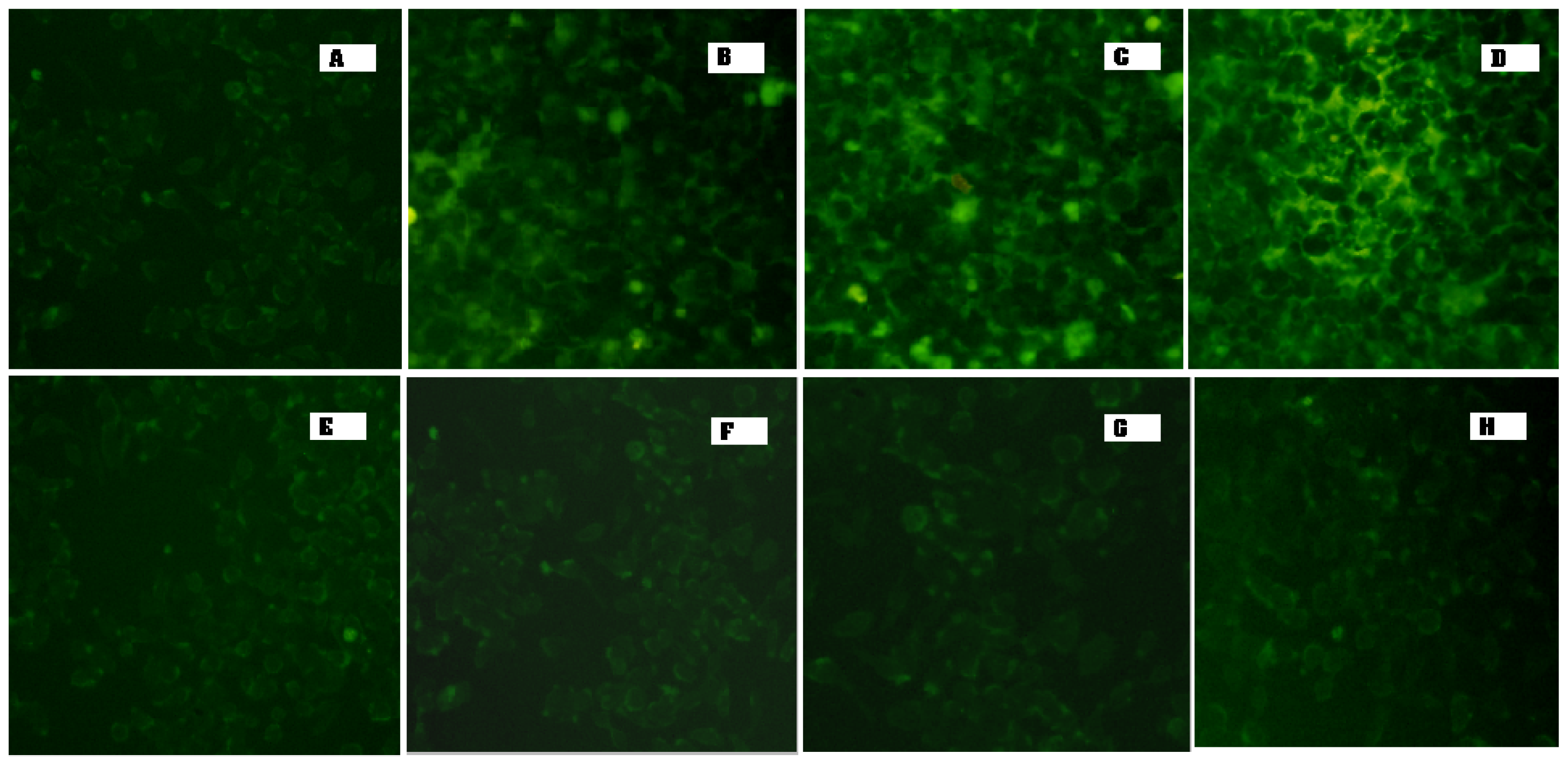 Ijms 12 04591f6 1024