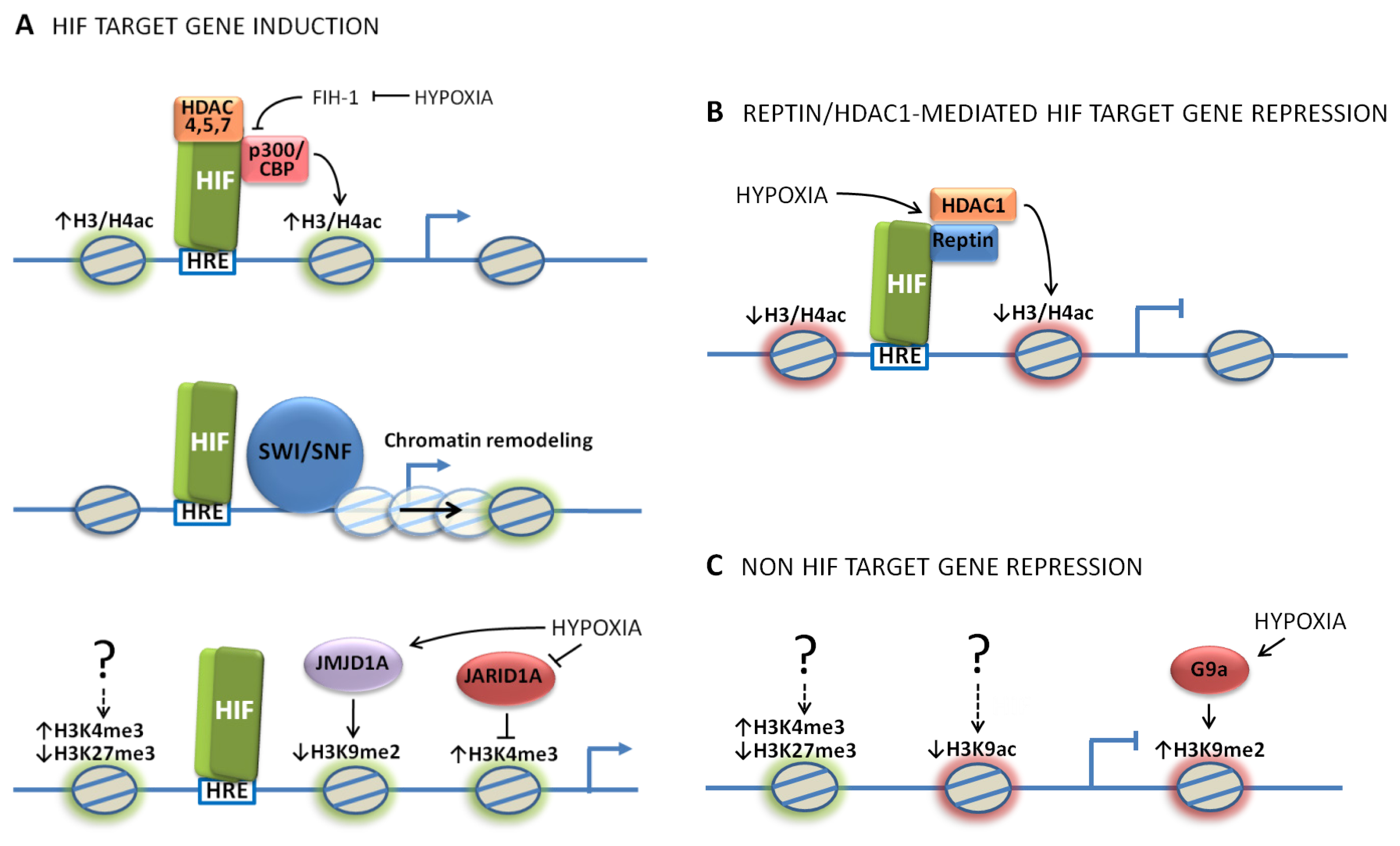 Ijms 12 04705f1 1024