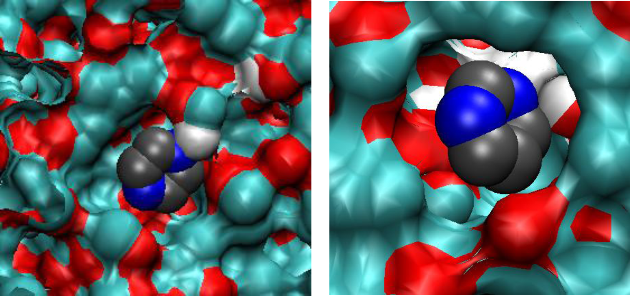 Ijms 12 04781f11 1024