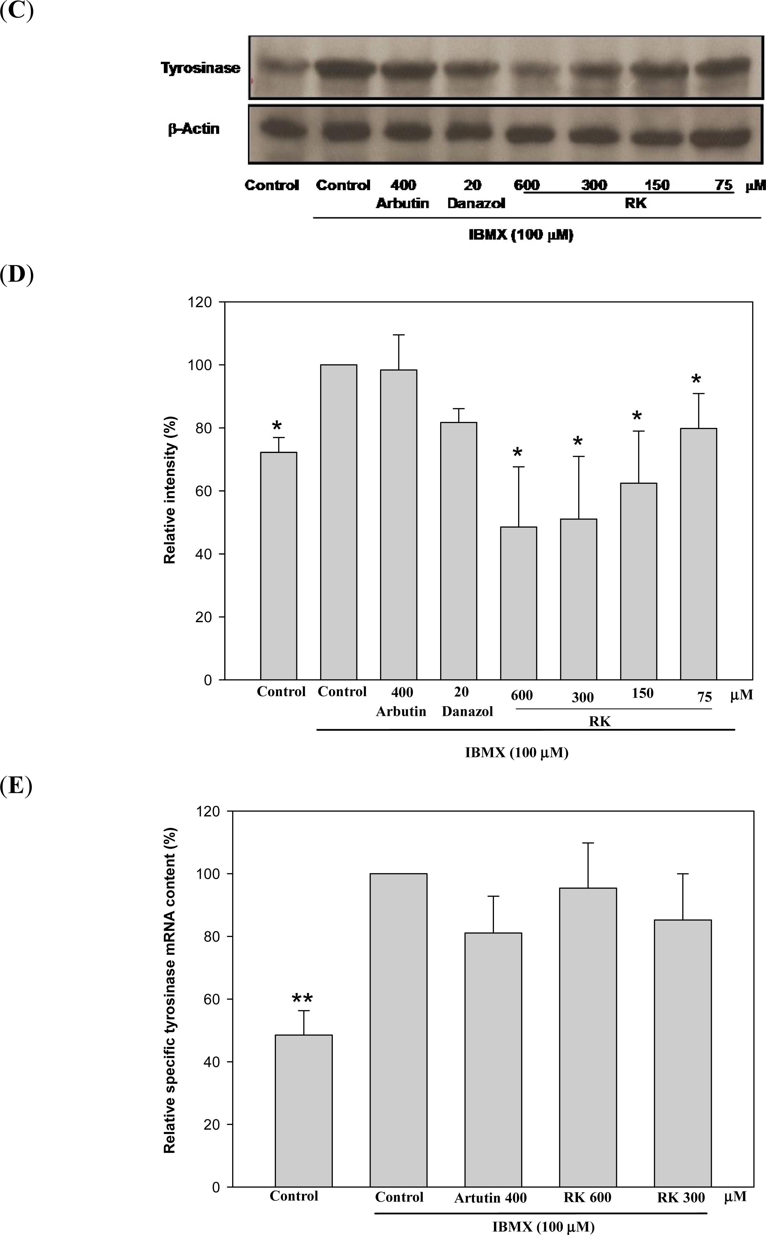 Ijms 12 04819f4b 1024