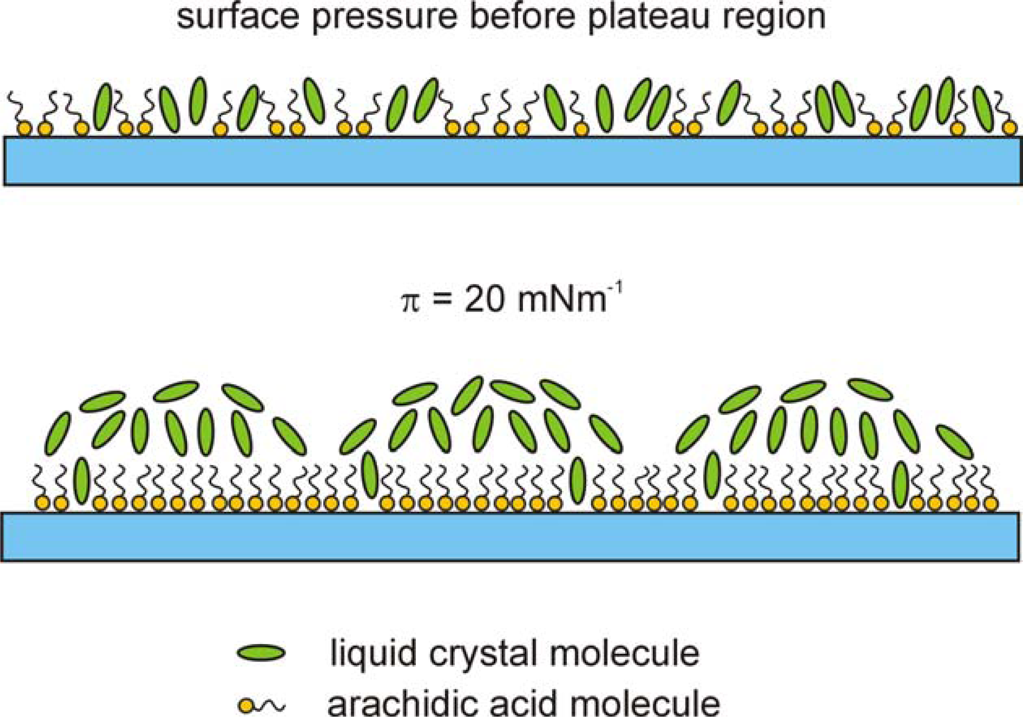 Ijms 12 04923f10 1024