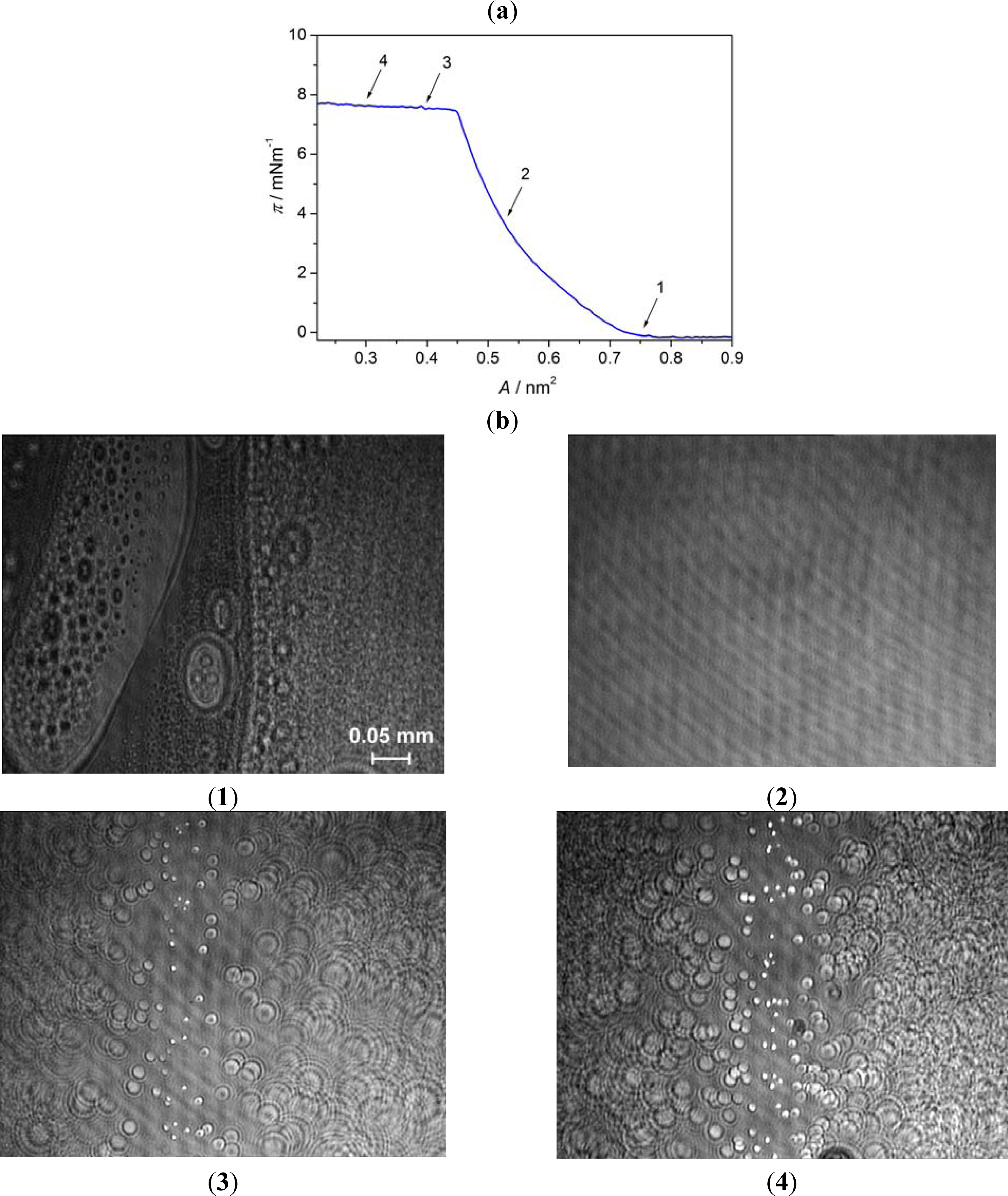 Ijms 12 04923f5 1024