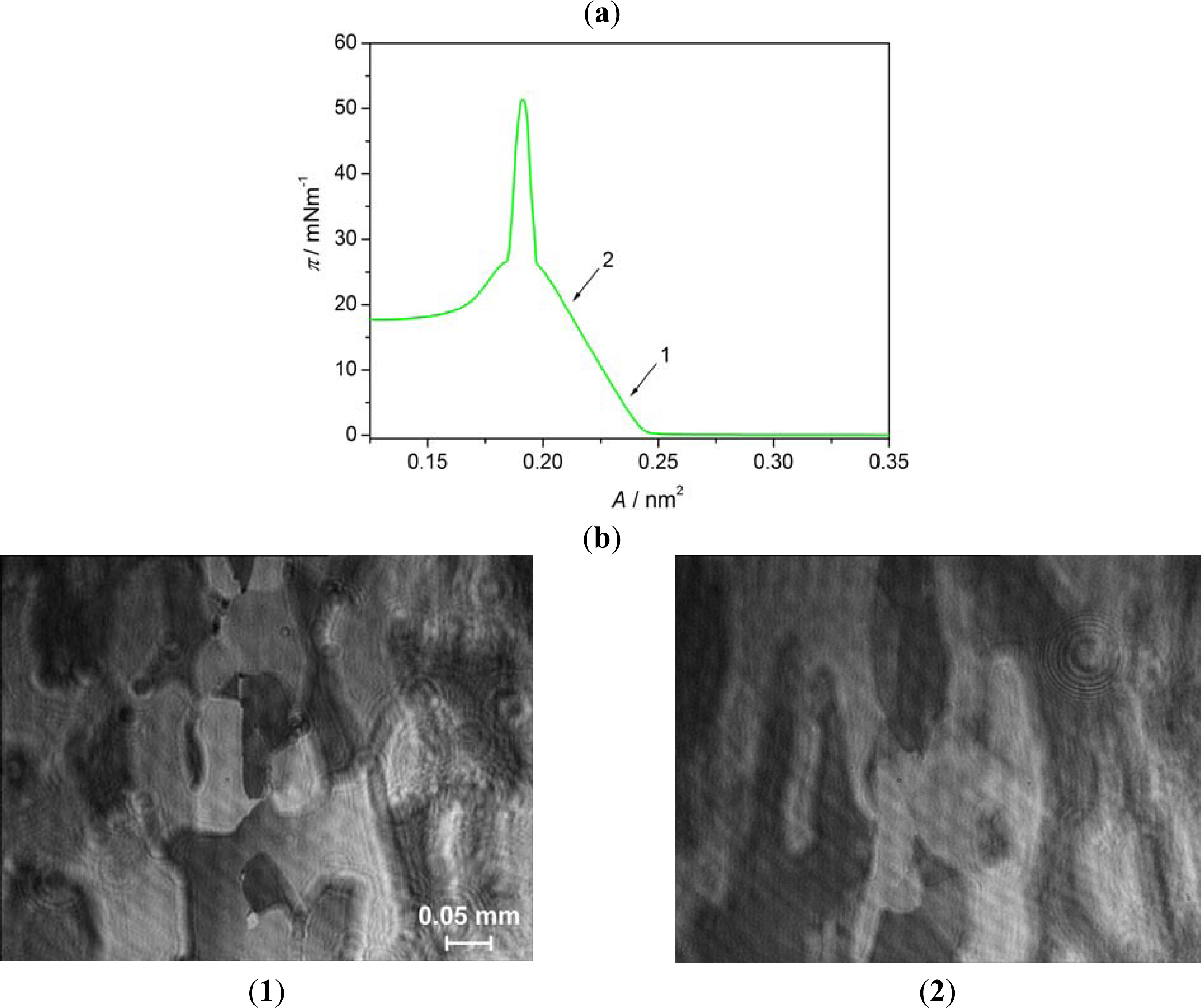 Ijms 12 04923f6 1024