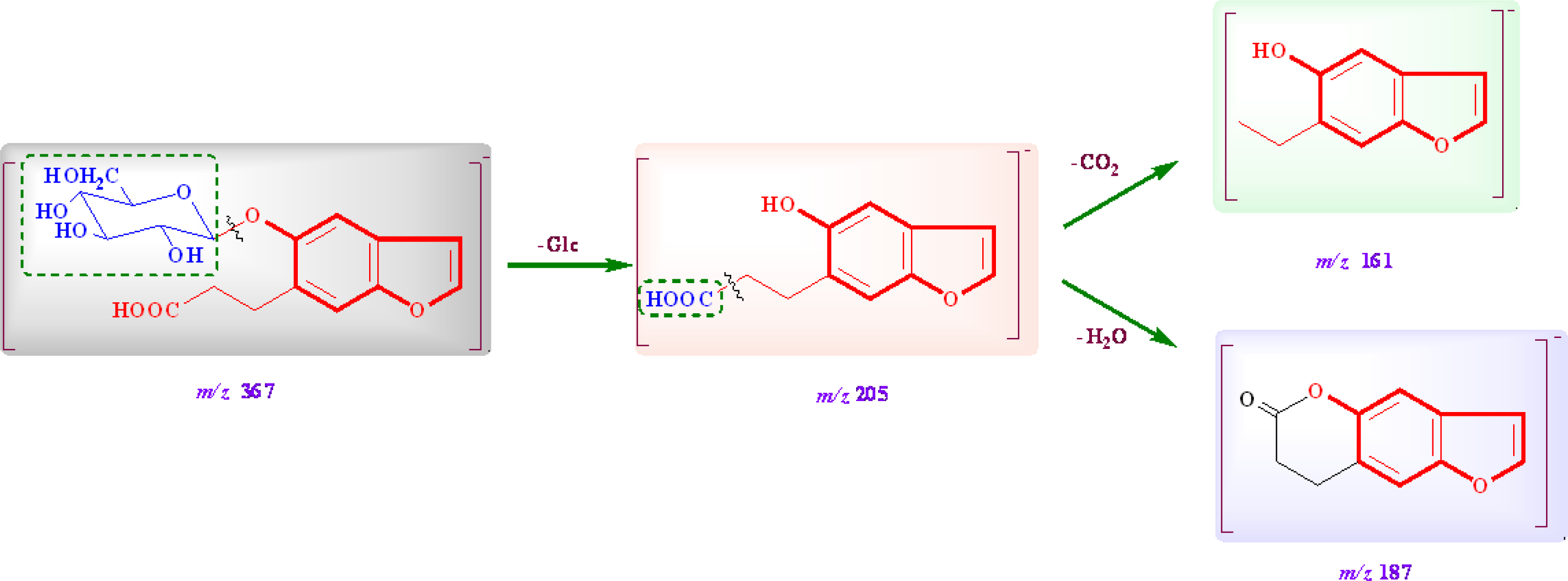 Ijms 12 04946f4 1024