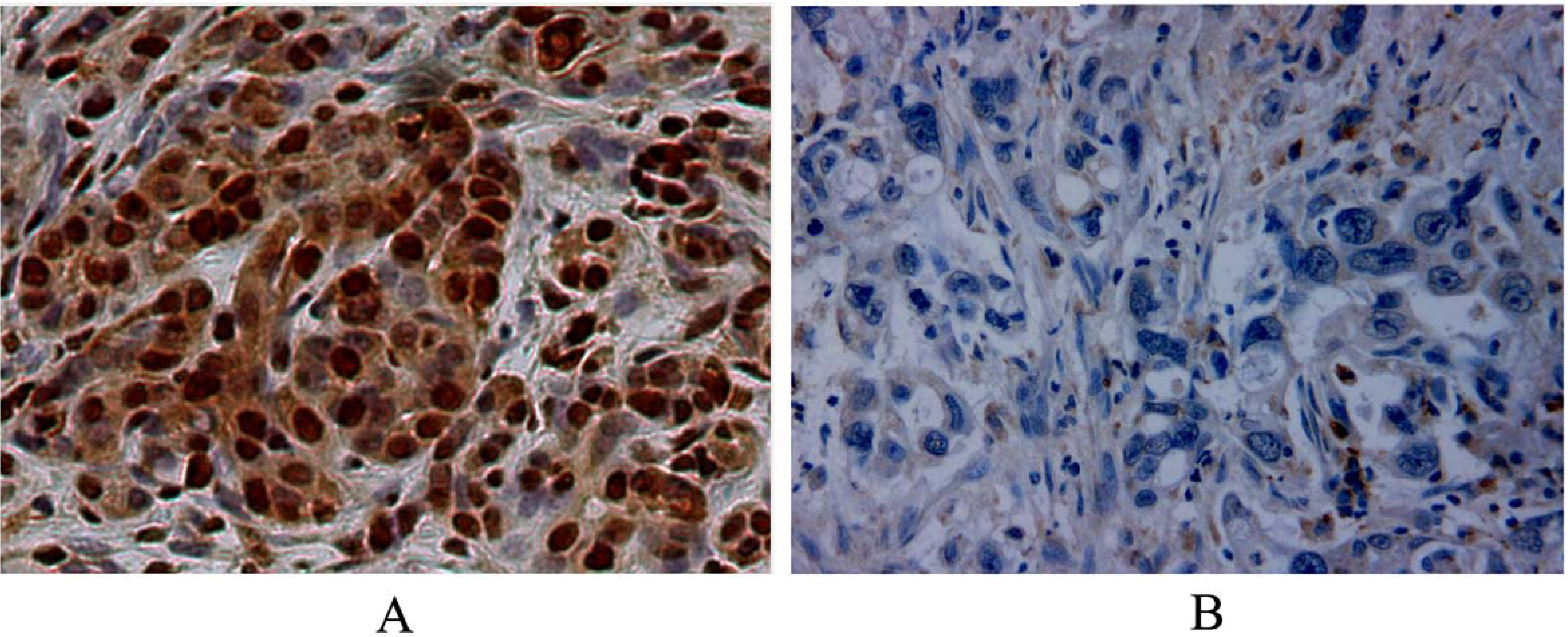 Ijms 12 04953f1 1024