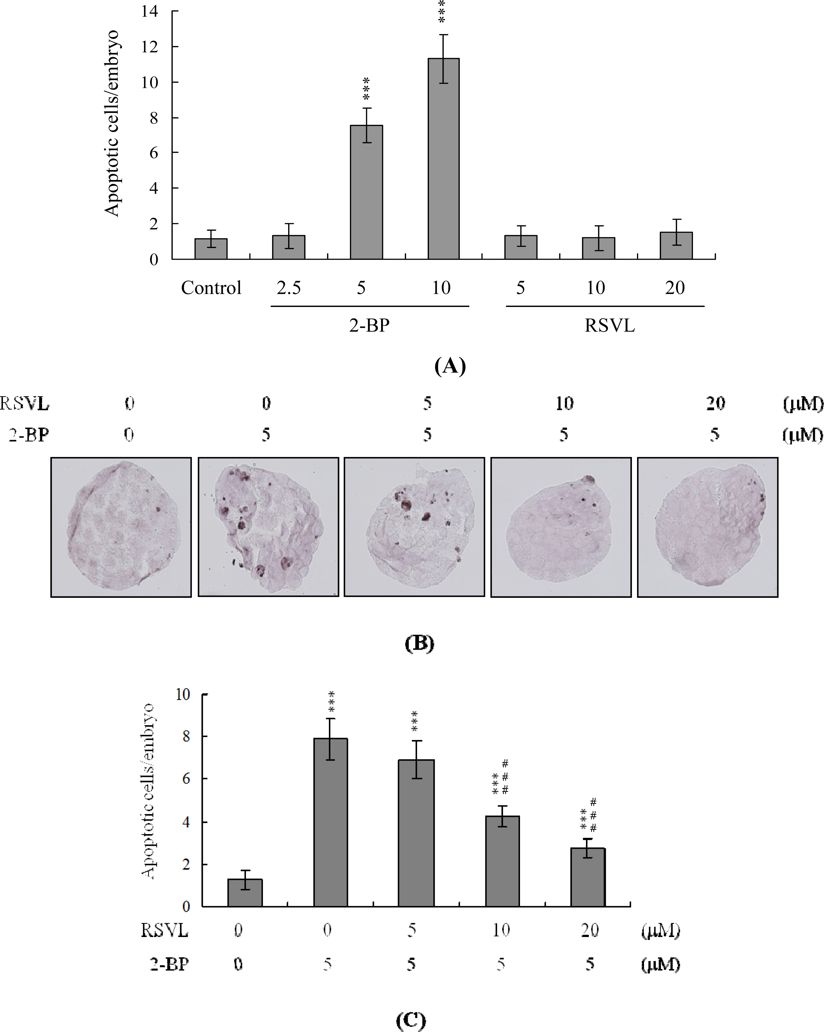 Ijms 12 04991f1 1024