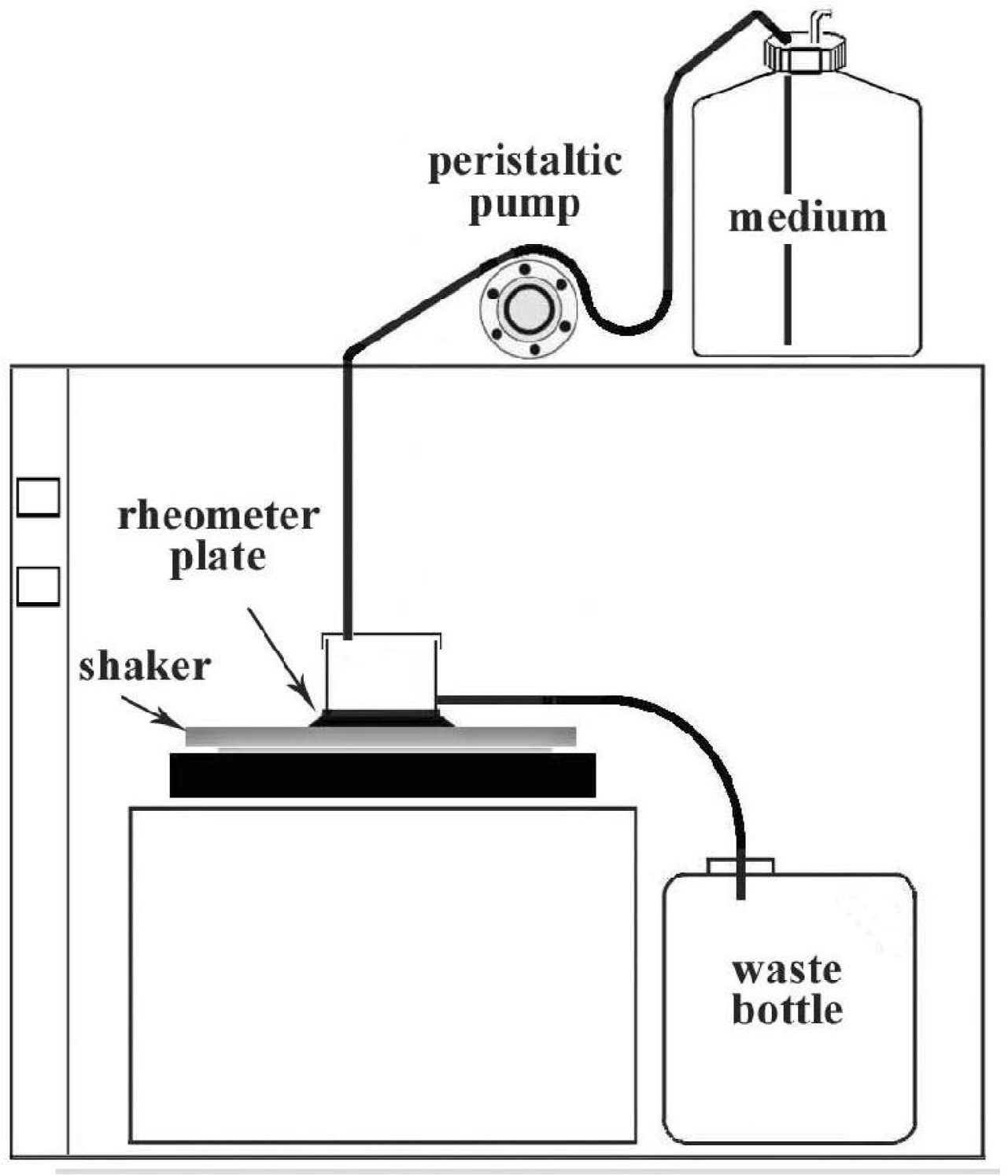 Ijms 12 05039f3 1024