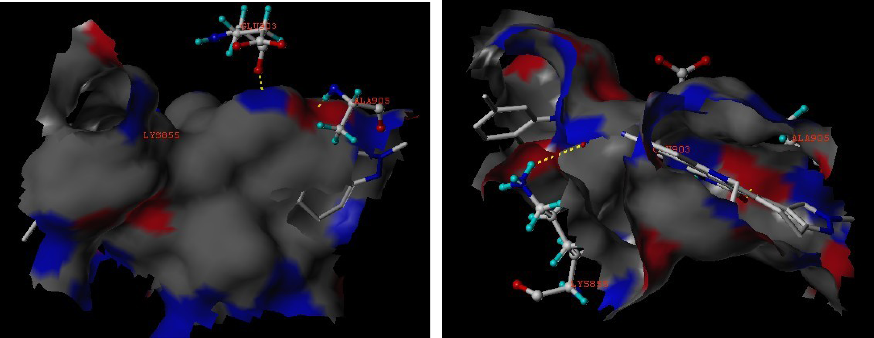 Ijms 12 05080f6 1024