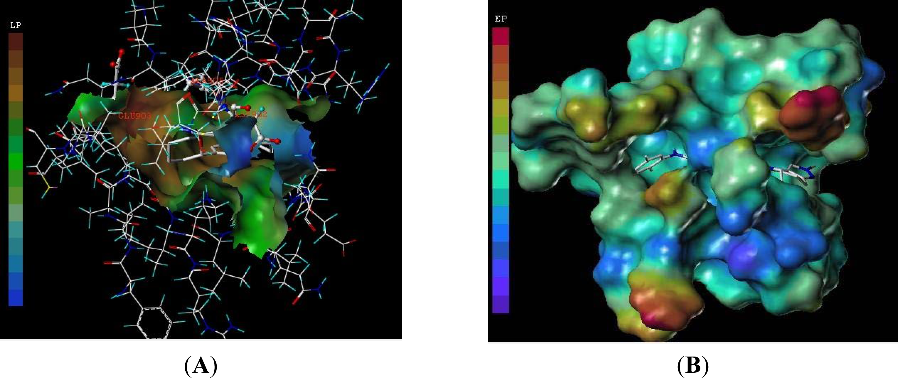 Ijms 12 05080f7 1024