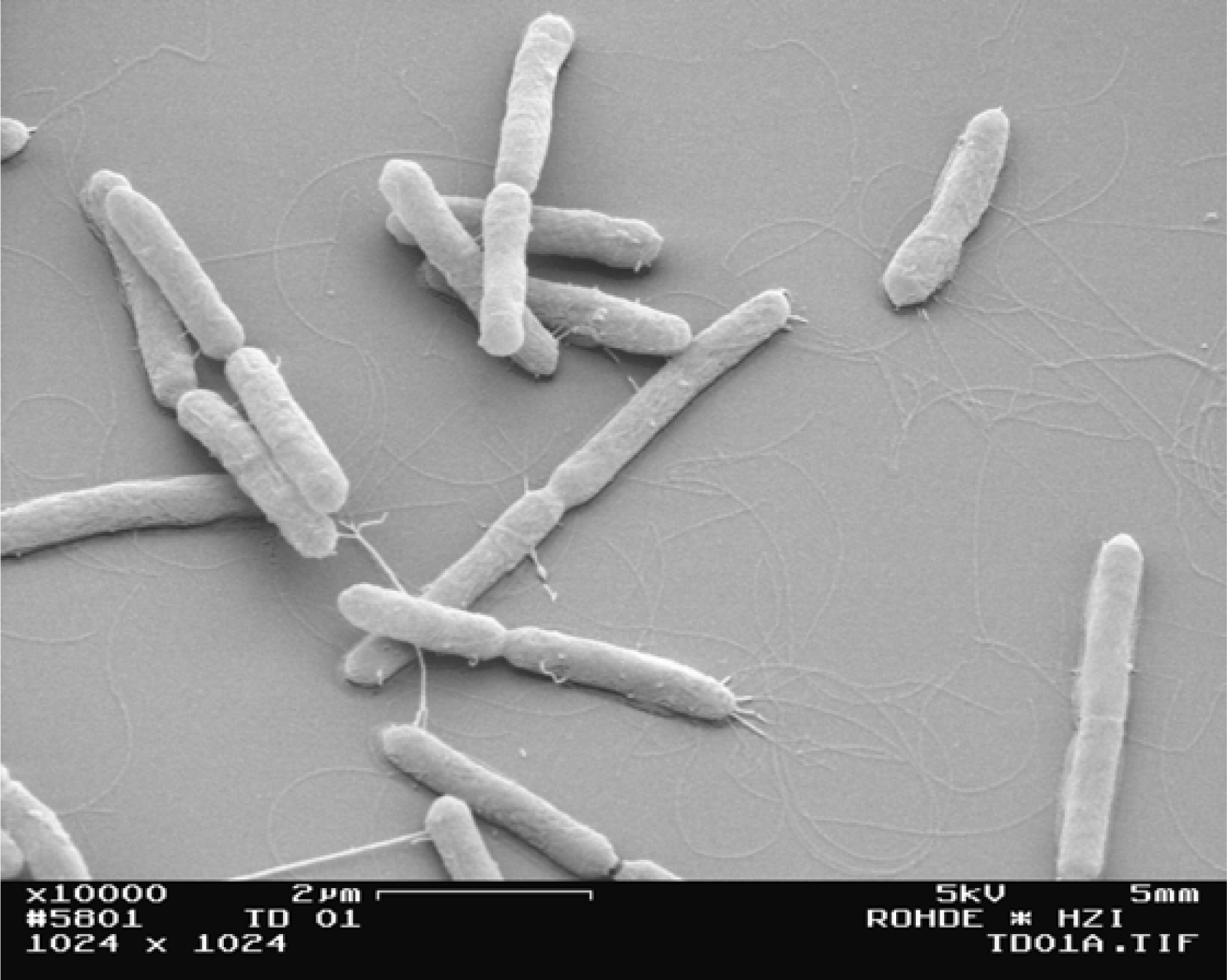 Ijms 12 05294f1 1024