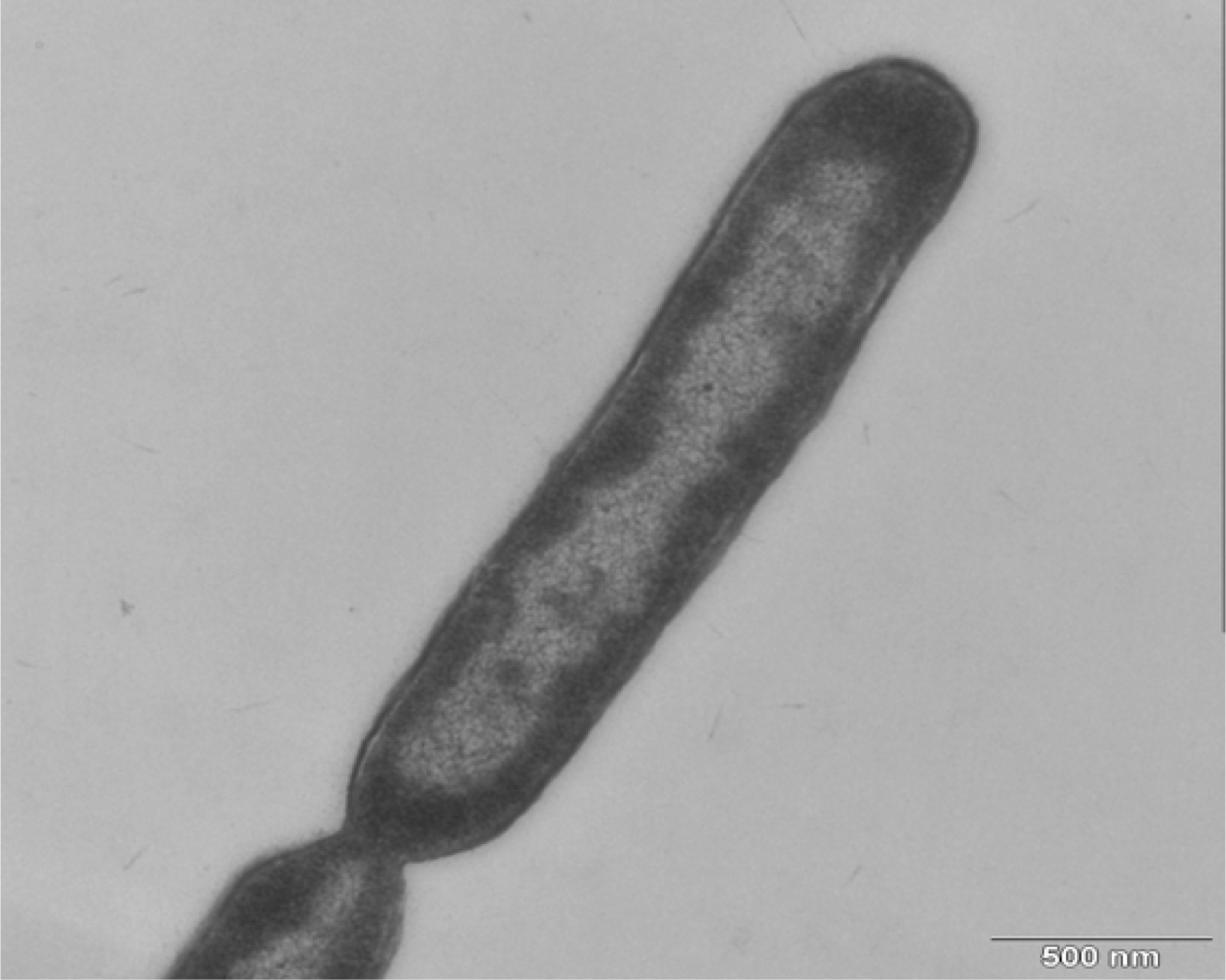 Ijms 12 05294f2 1024