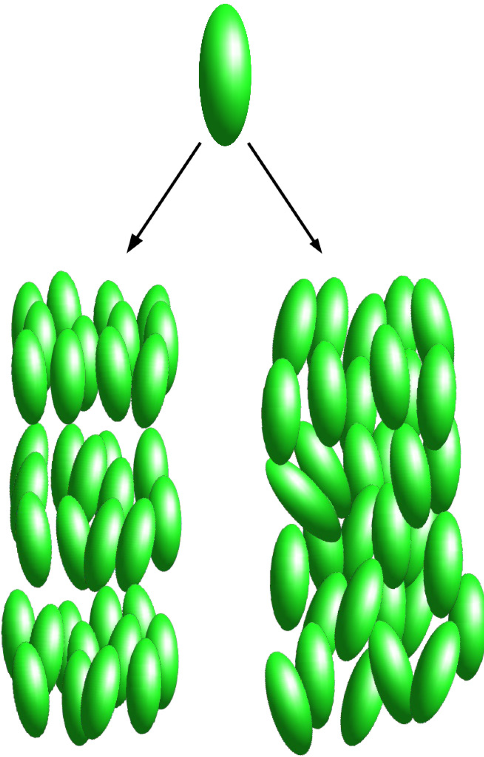 Ijms 12 05352f1 1024