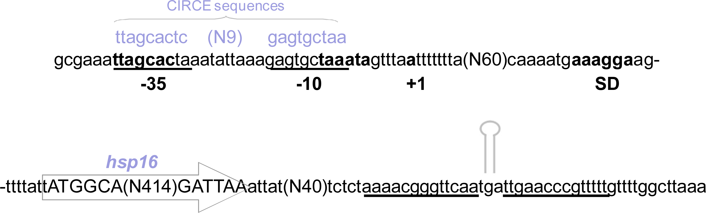 Ijms 12 05390f1 1024