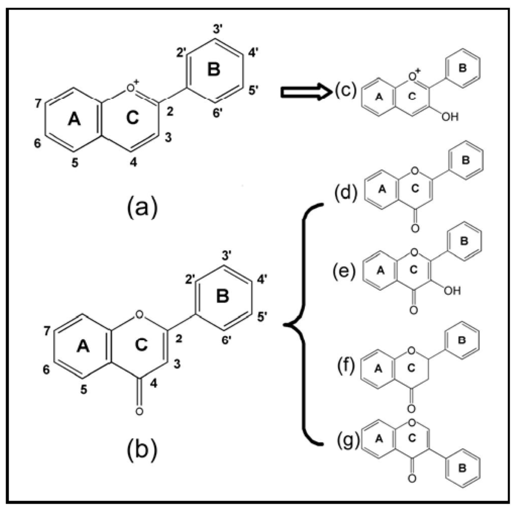 IJMS Free FullText Chemical Structures of 4OxoFlavonoids in