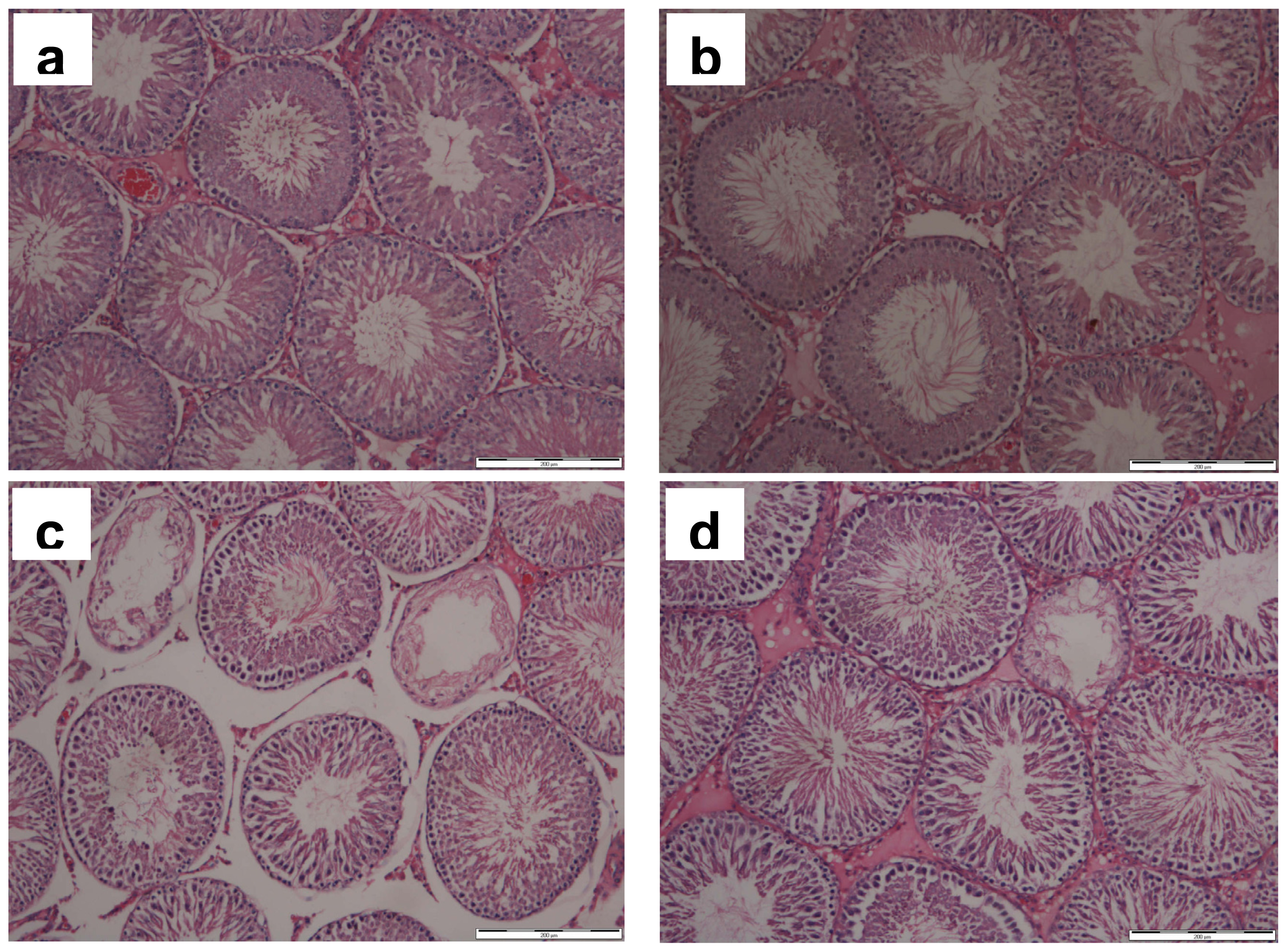 Ijms 12 05508f1 1024