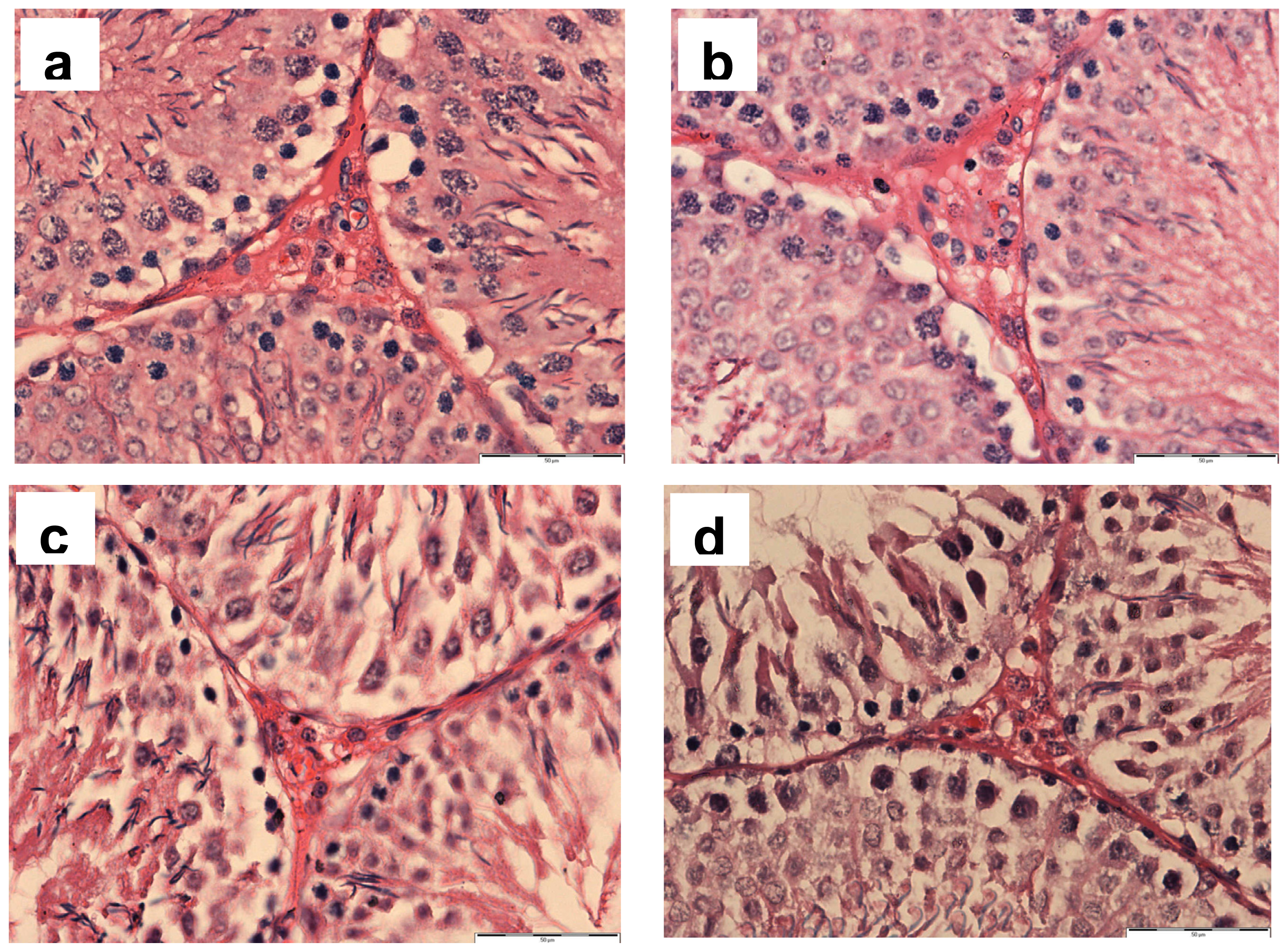 Ijms 12 05508f2 1024