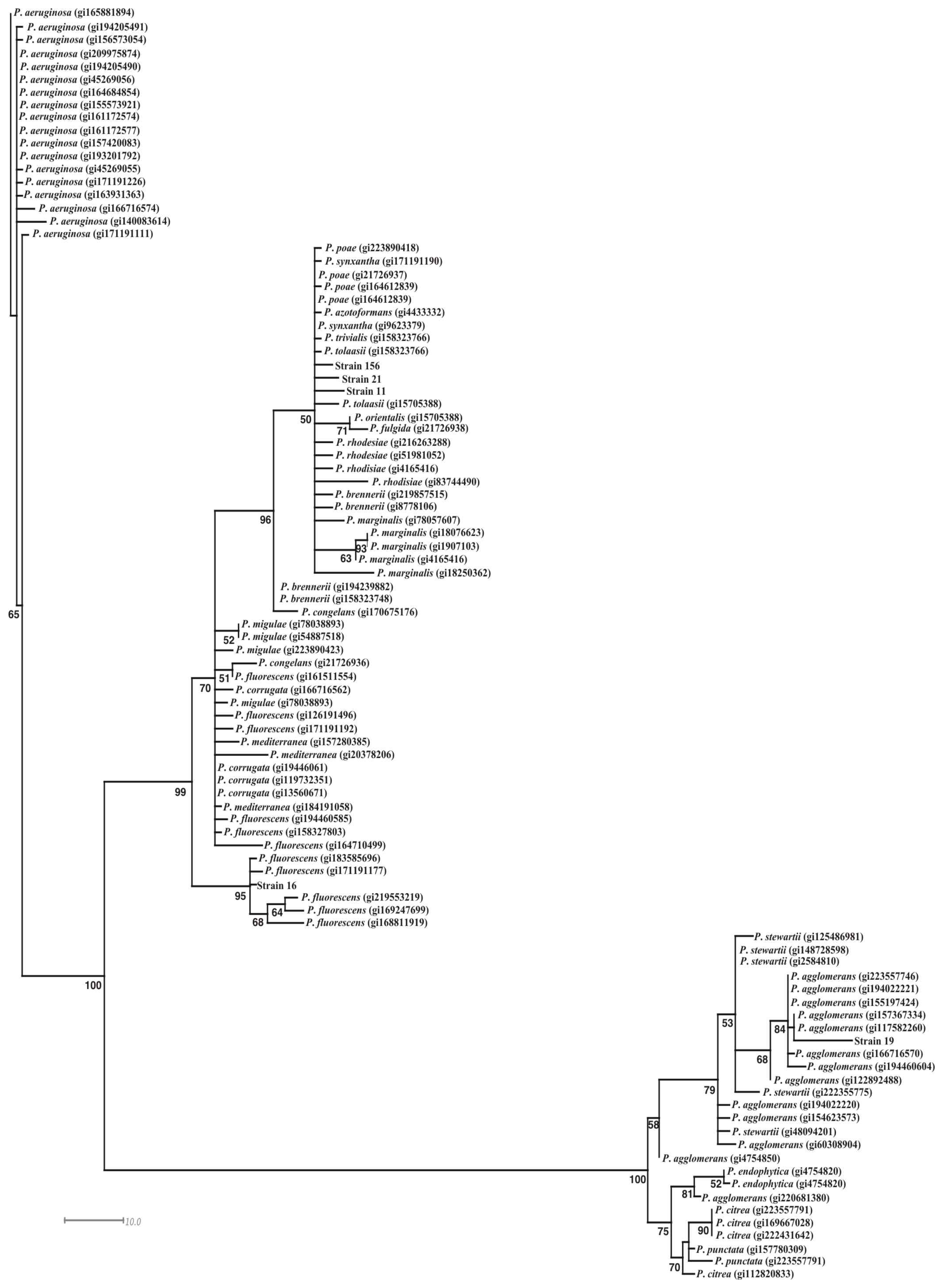 Ijms 12 05522f4 1024