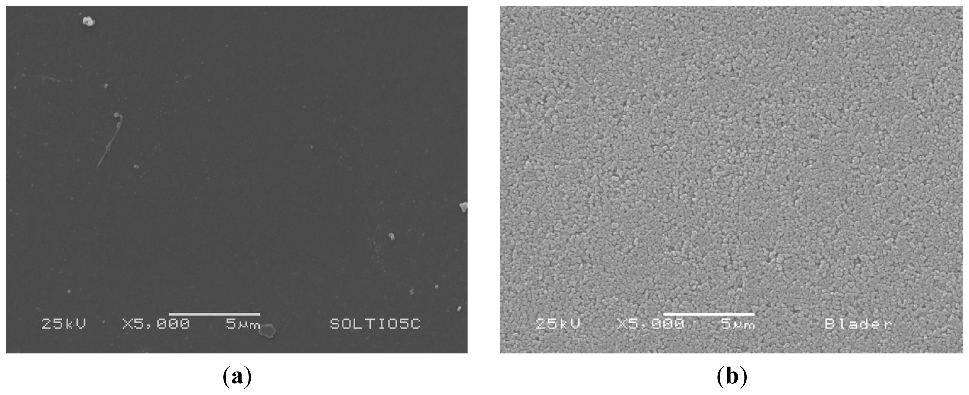 Ijms 12 05565f5 1024