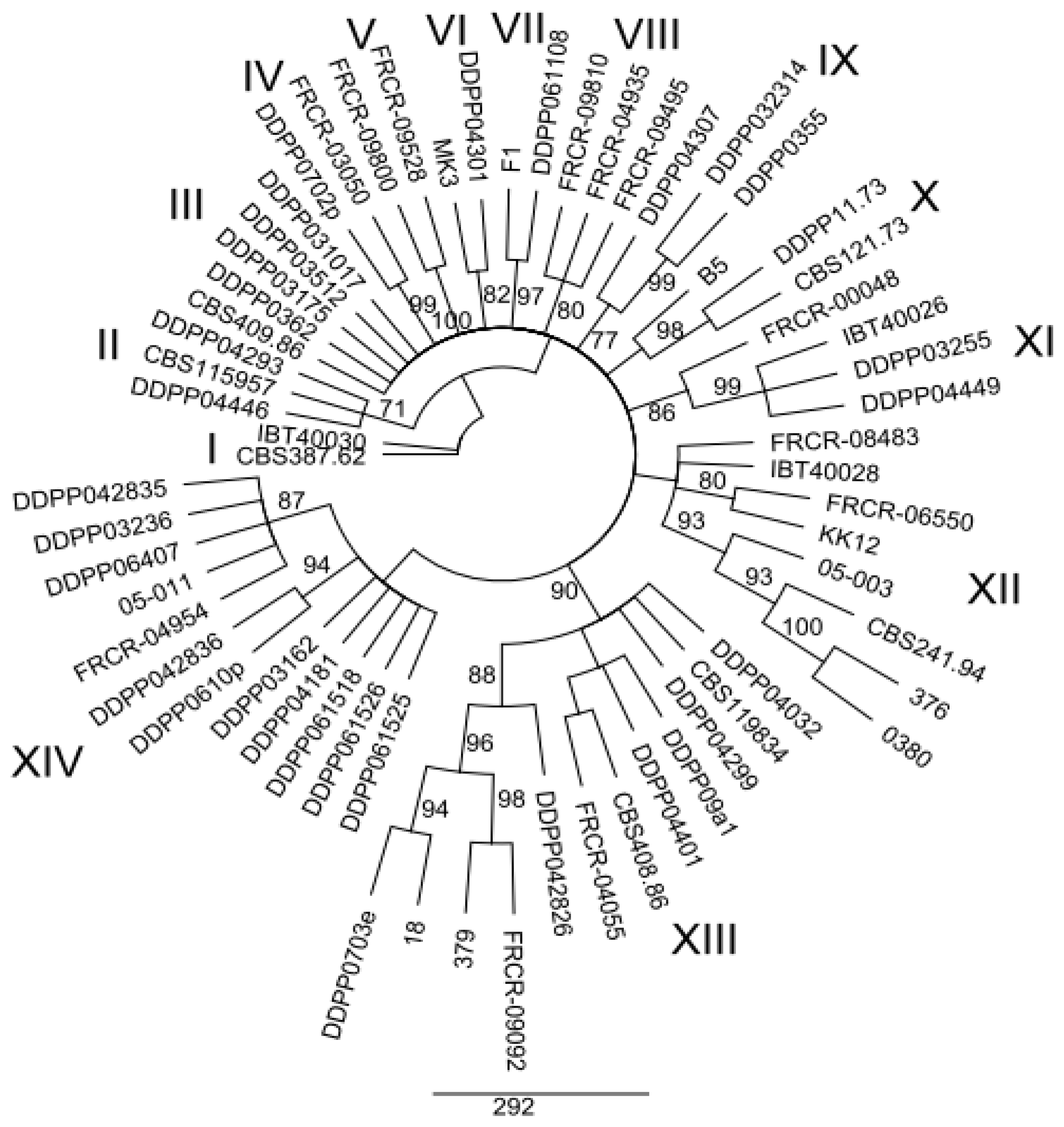 Ijms 12 05626f5 1024