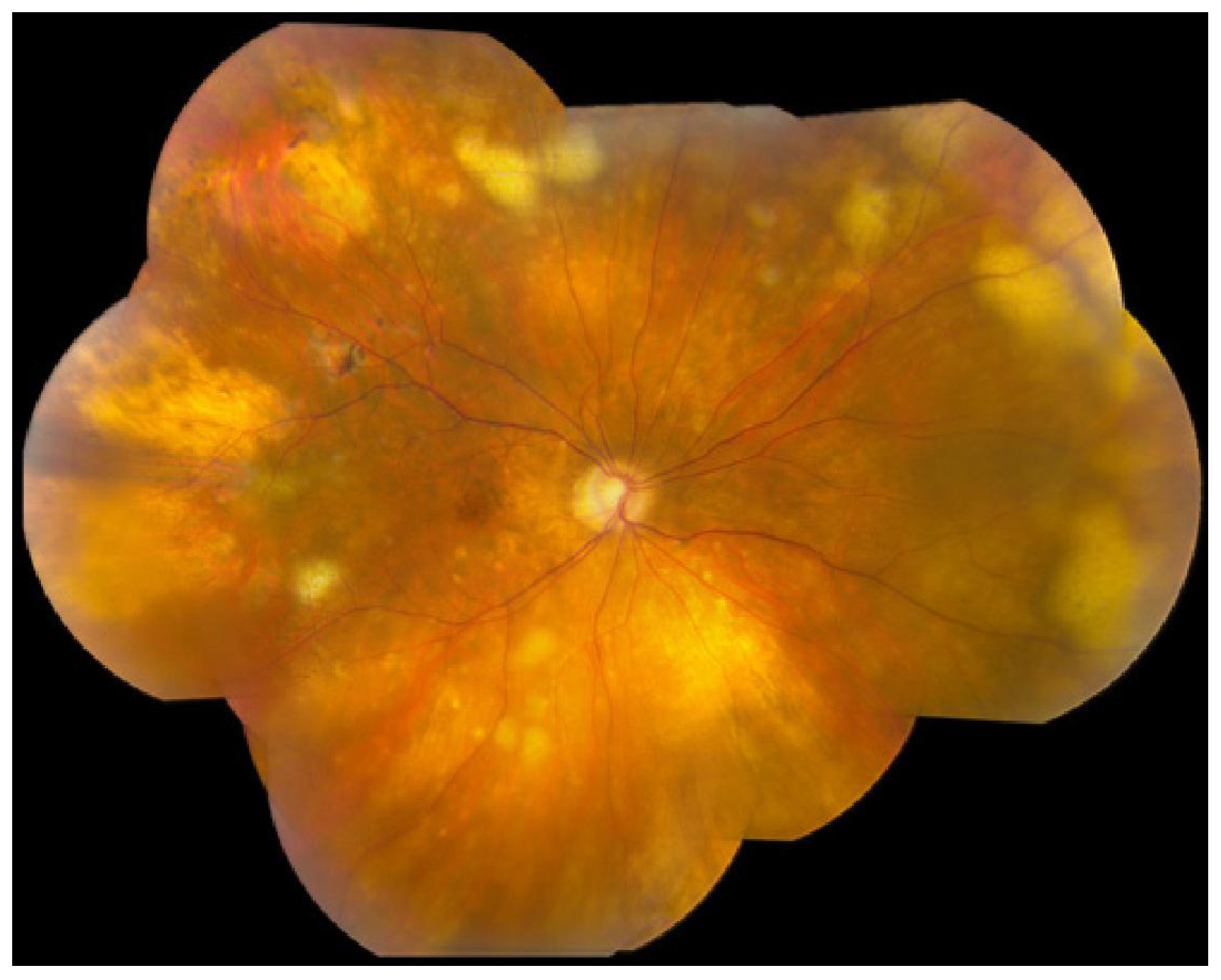 Ijms 12 05684f1 1024