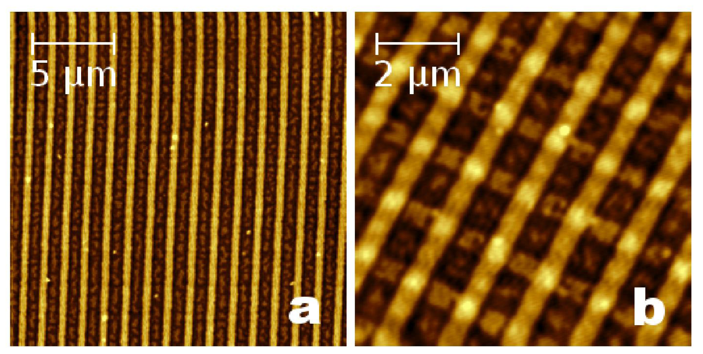 Ijms 12 05719f1 1024