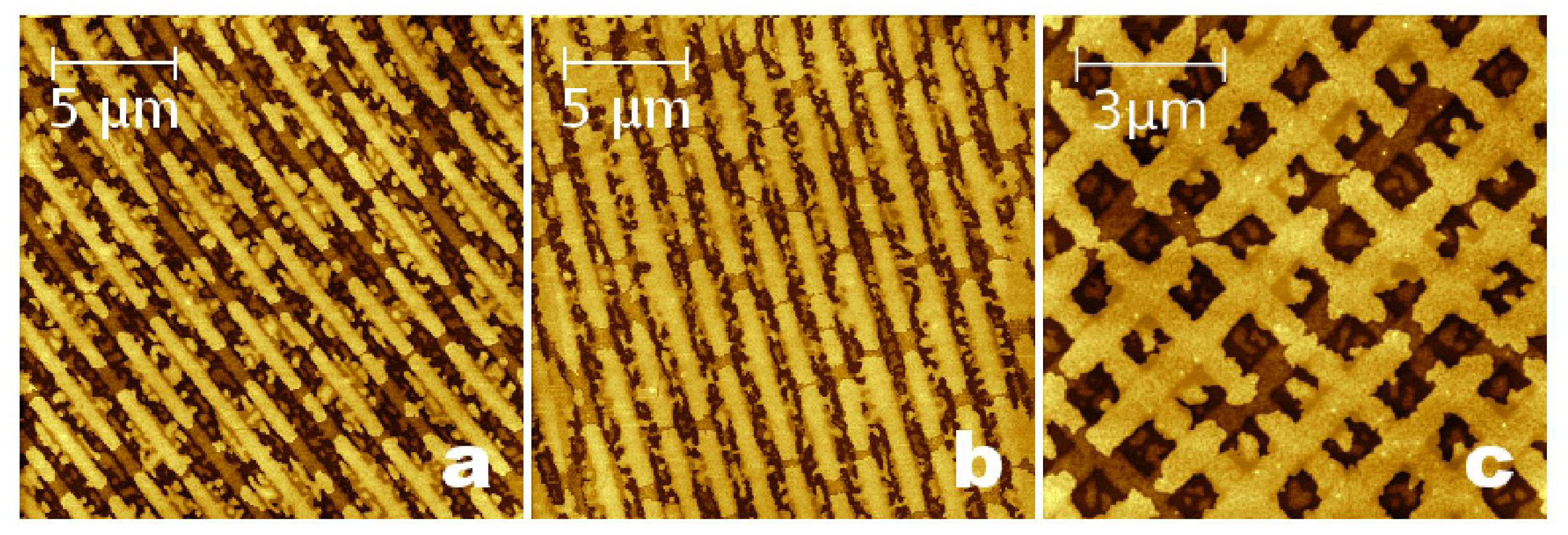 Ijms 12 05719f8 1024