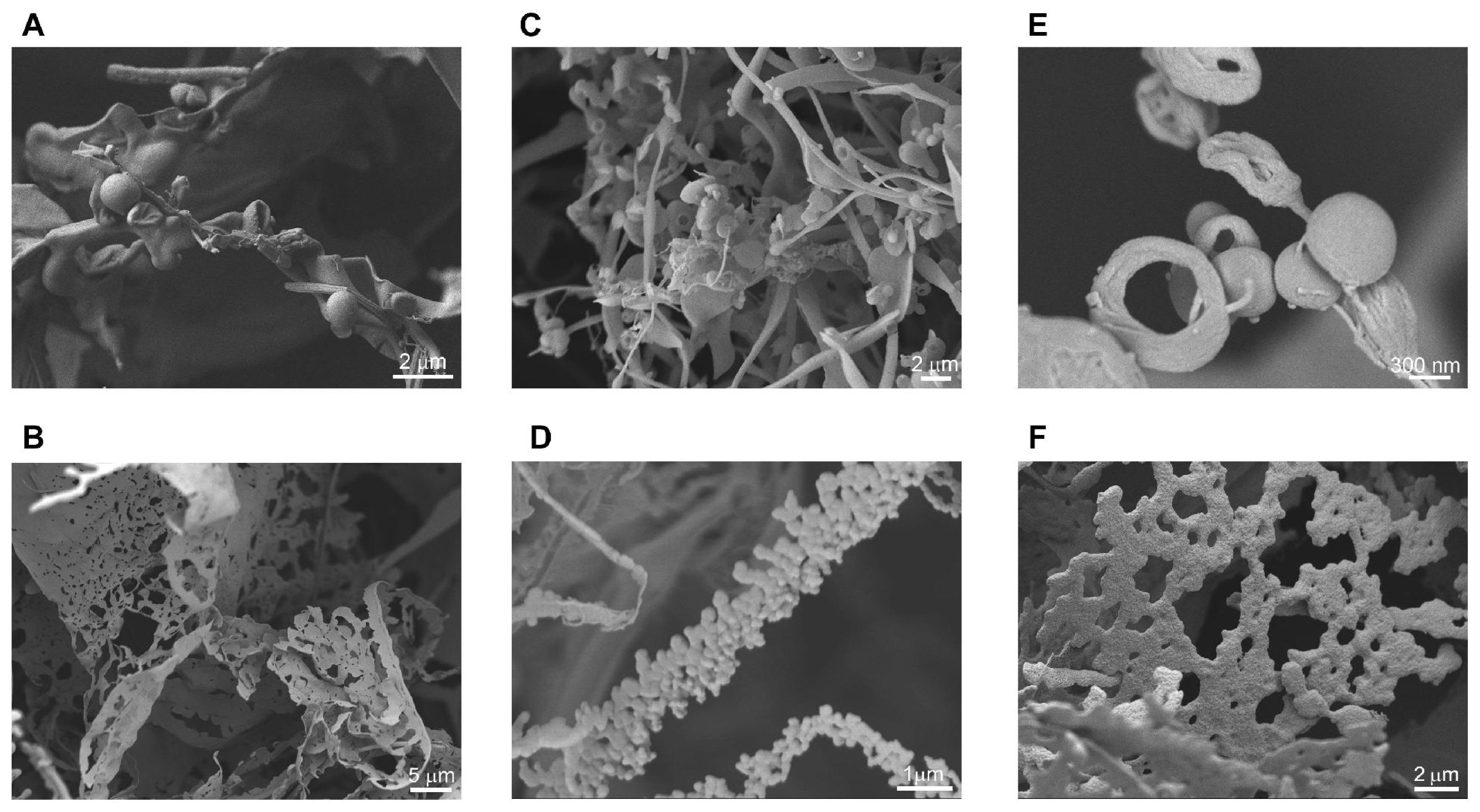 Ijms 12 05736f1 1024