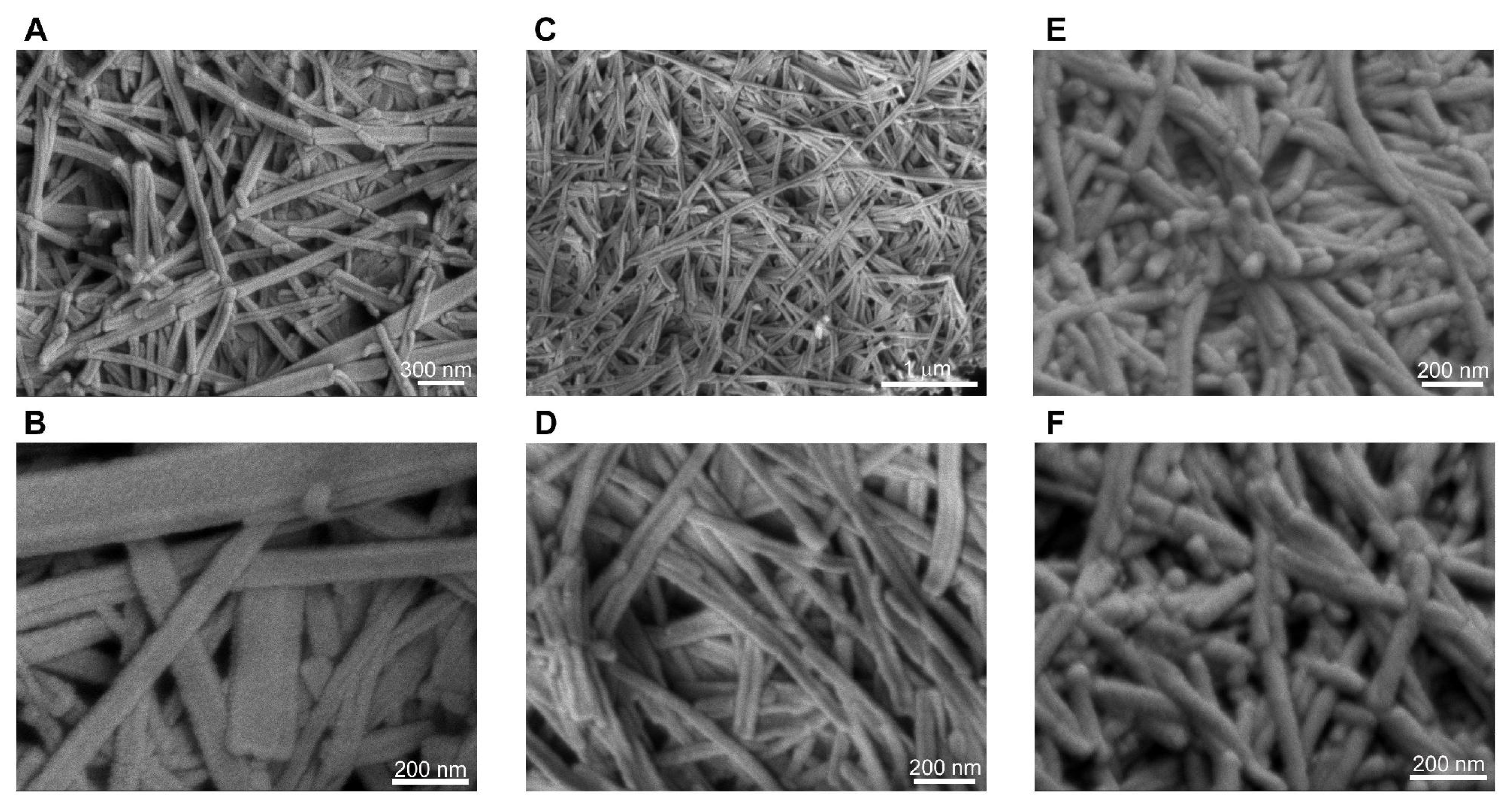 Ijms 12 05736f5 1024