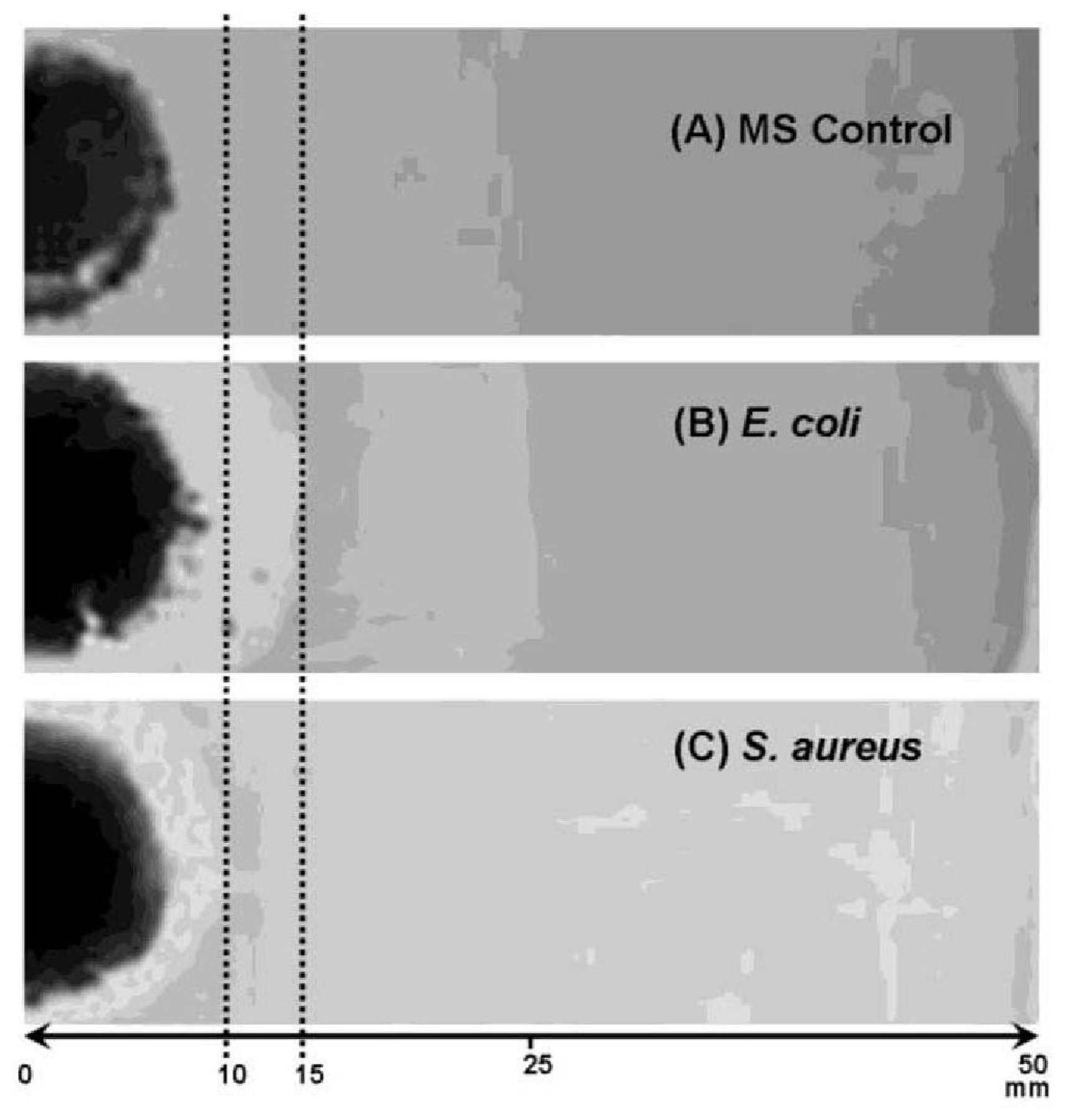 Ijms 12 05782f7 1024