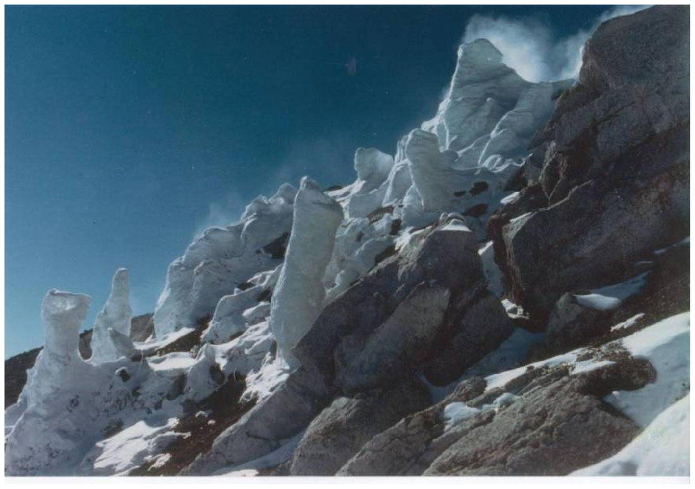 Ijms 12 06051f1 1024