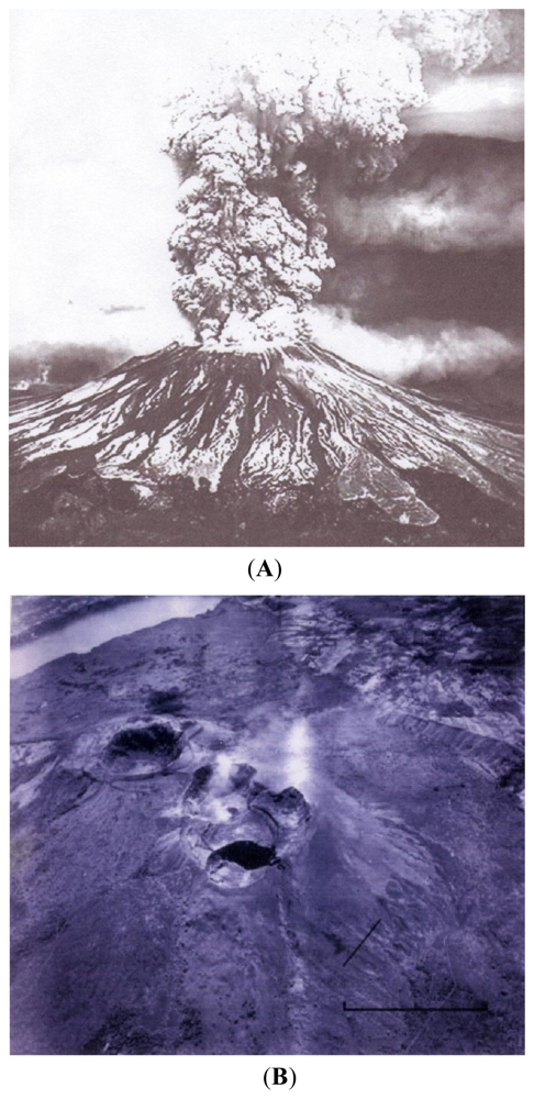 Ijms 12 06051f5 1024