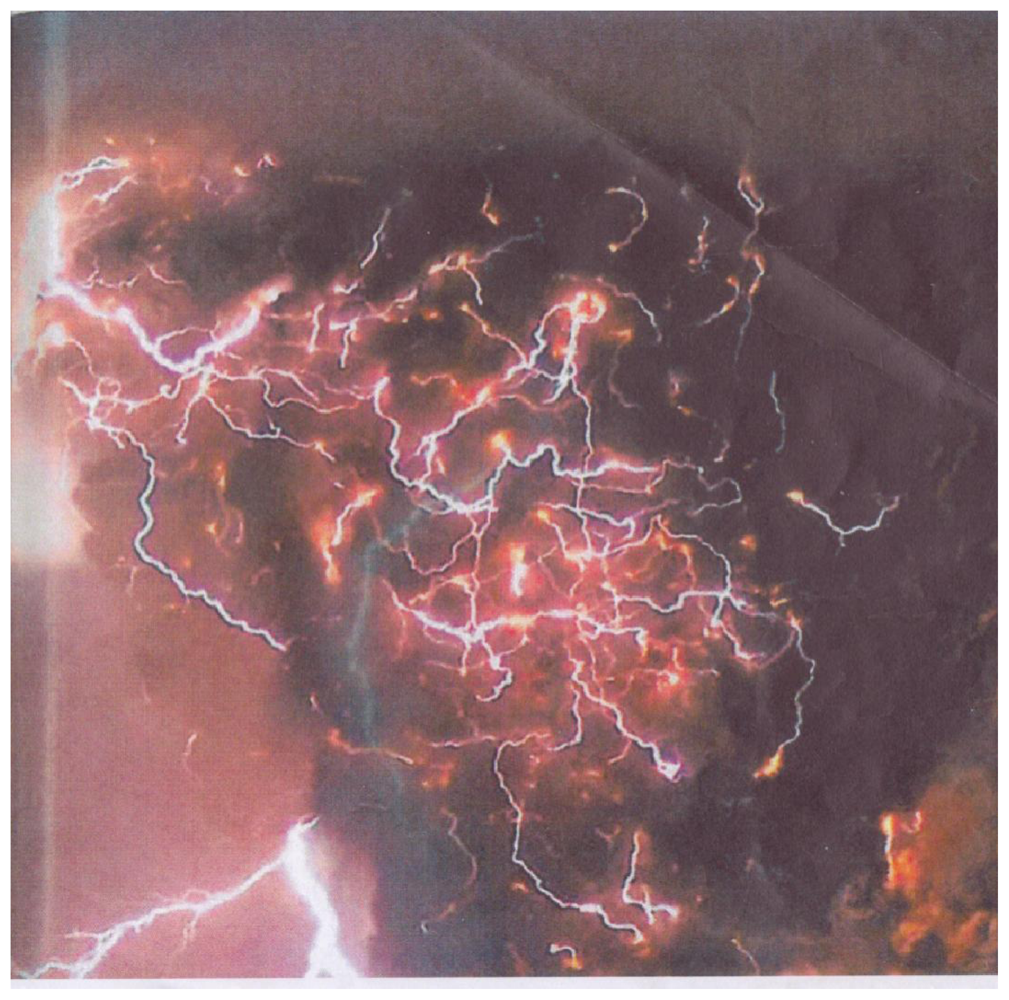 Ijms 12 06051f6 1024