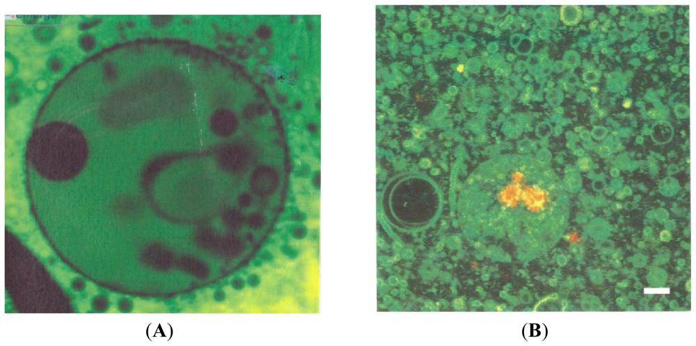 Ijms 12 06051f7 1024