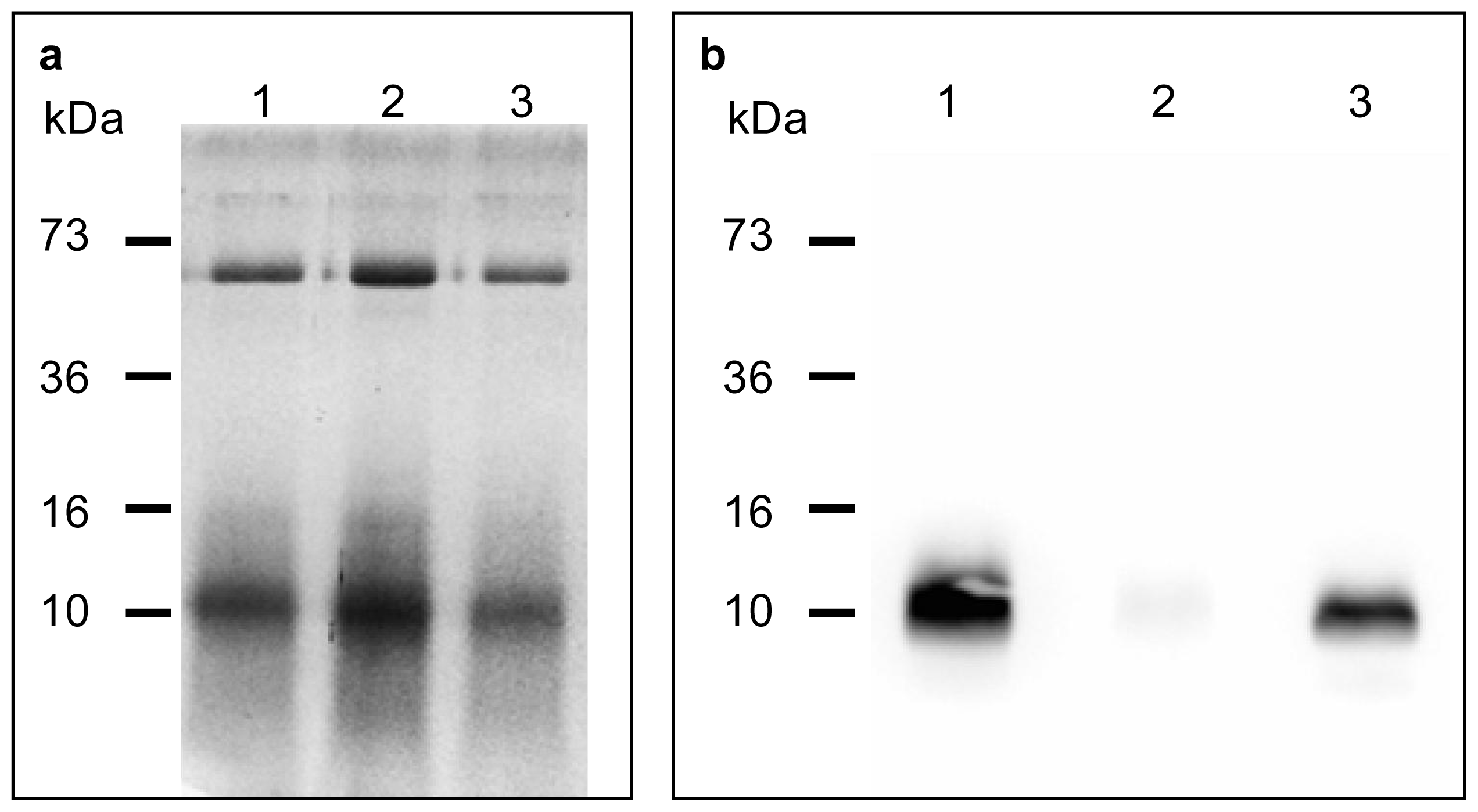 Ijms 12 06089f2 1024