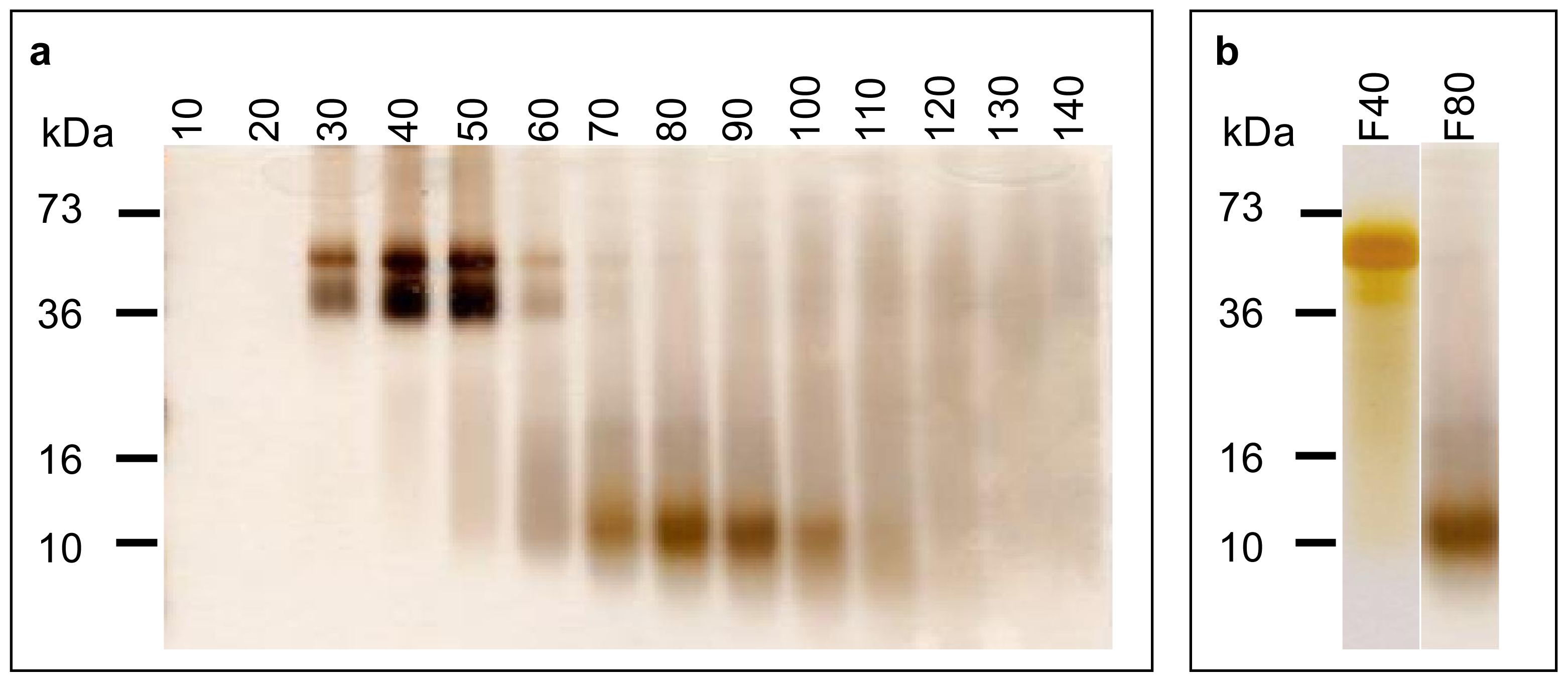 Ijms 12 06089f3a 1024