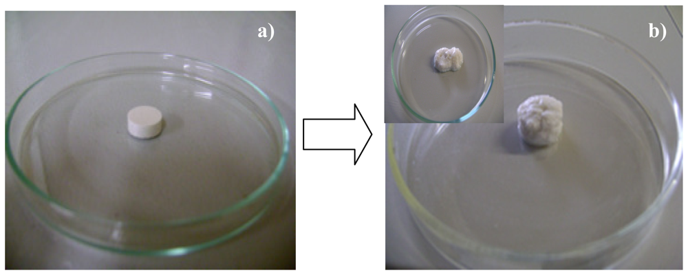 Ijms 12 06194f18 1024