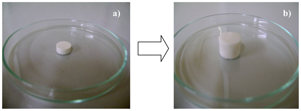 Ijms 12 06194f19 1024