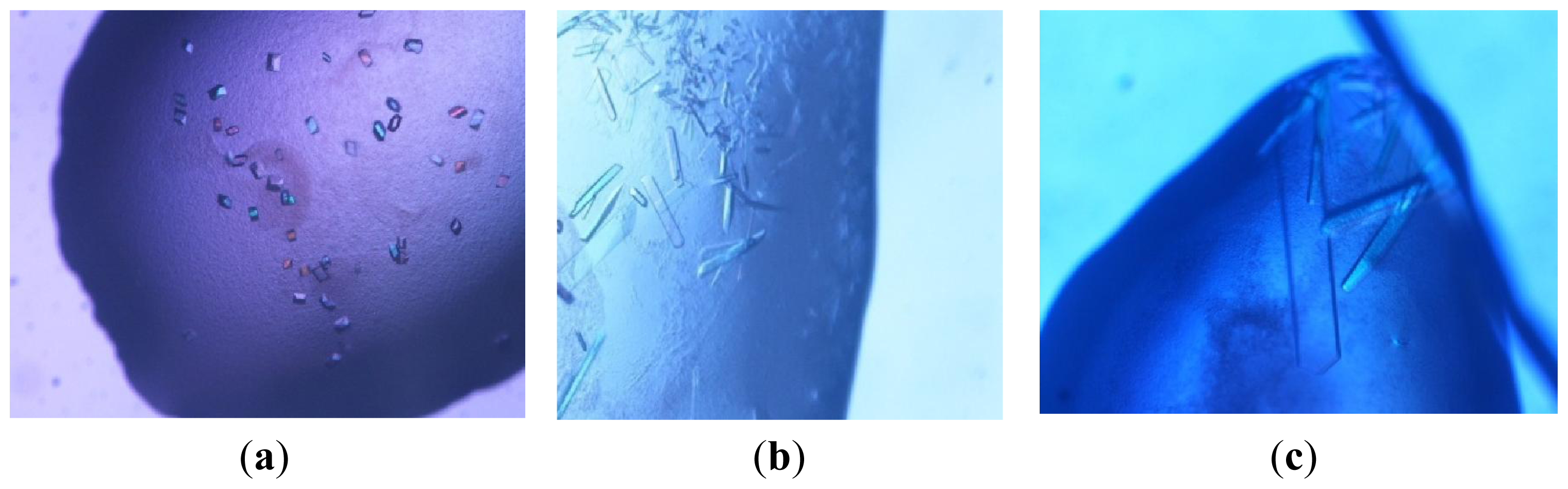 Ijms 12 06312f1 1024