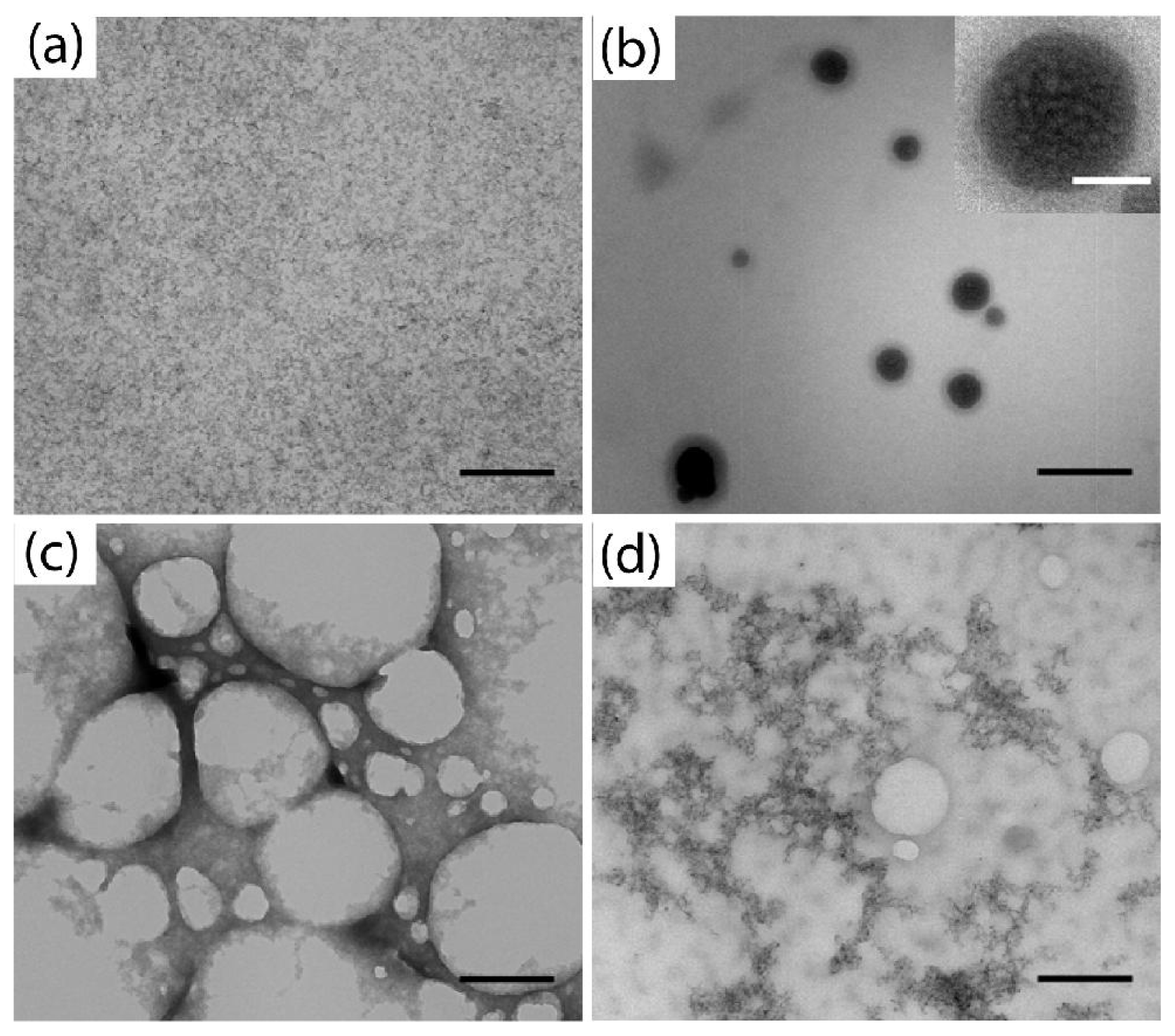 Ijms 12 06357f1 1024